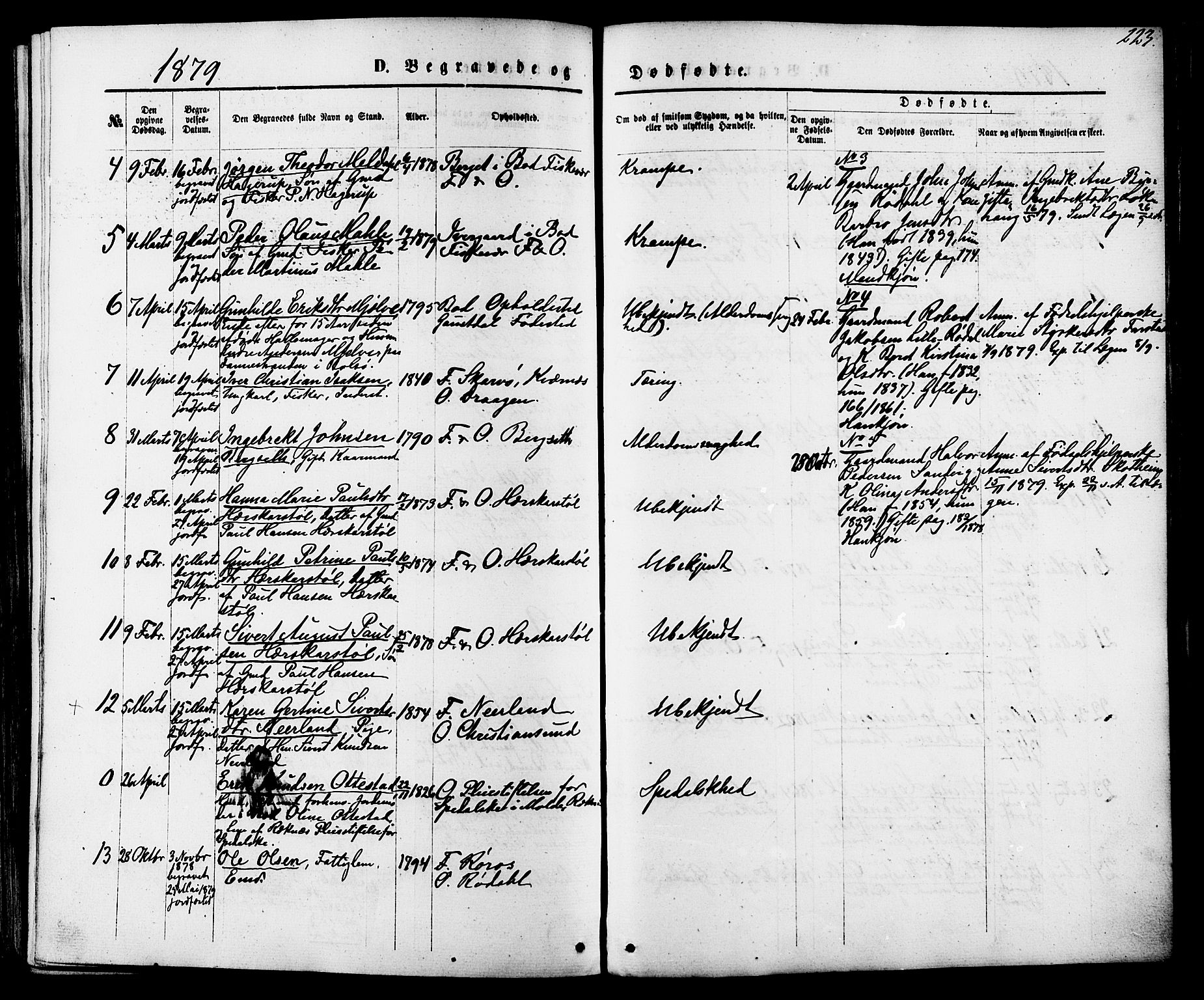 Ministerialprotokoller, klokkerbøker og fødselsregistre - Møre og Romsdal, AV/SAT-A-1454/566/L0768: Parish register (official) no. 566A07, 1869-1881, p. 223