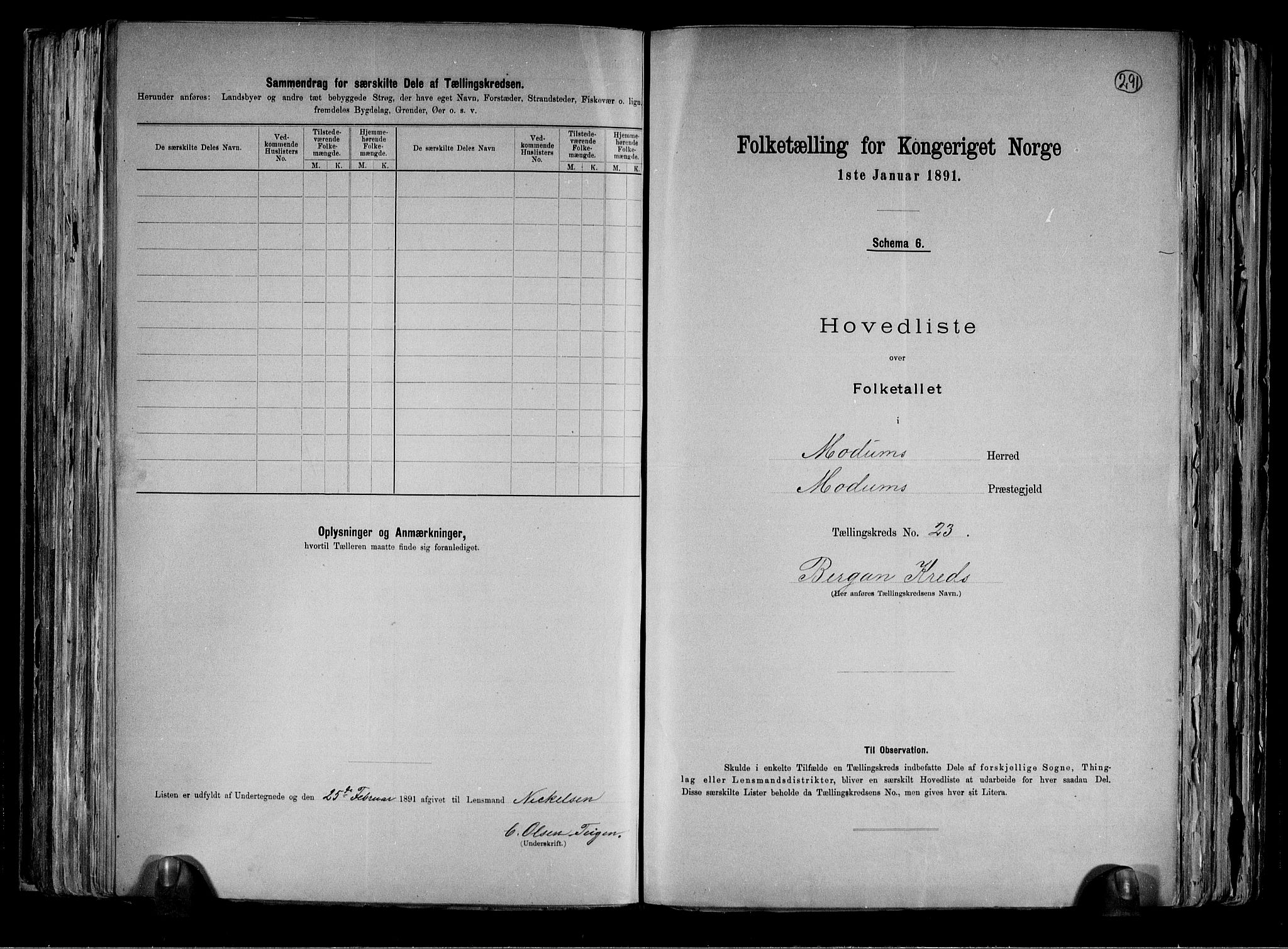 RA, 1891 census for 0623 Modum, 1891, p. 54