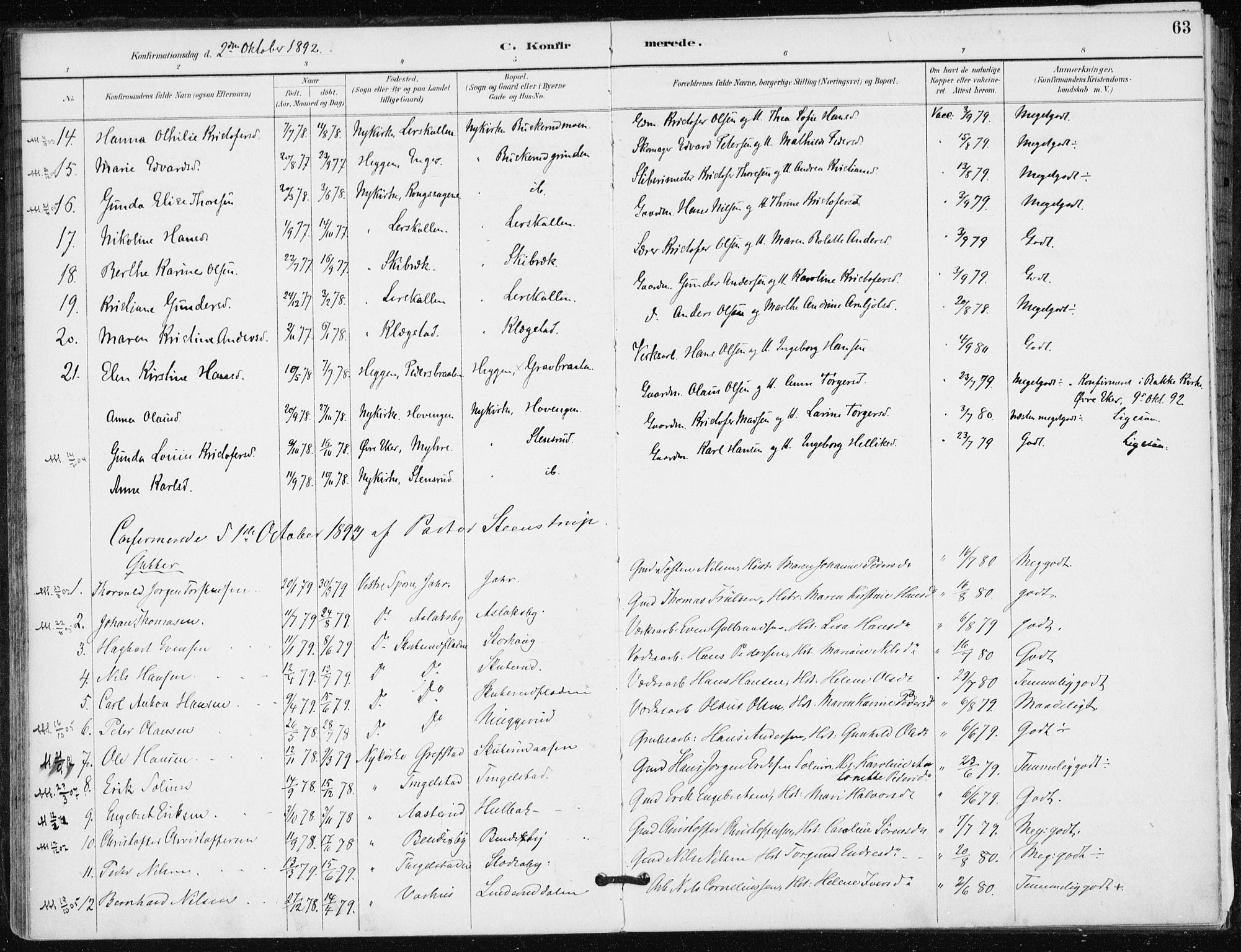 Modum kirkebøker, AV/SAKO-A-234/F/Fa/L0016: Parish register (official) no. 16, 1890-1899, p. 63