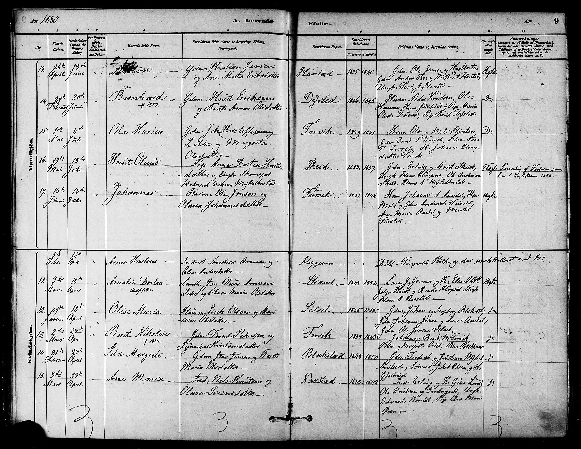 Ministerialprotokoller, klokkerbøker og fødselsregistre - Møre og Romsdal, AV/SAT-A-1454/584/L0967: Parish register (official) no. 584A07, 1879-1894, p. 9