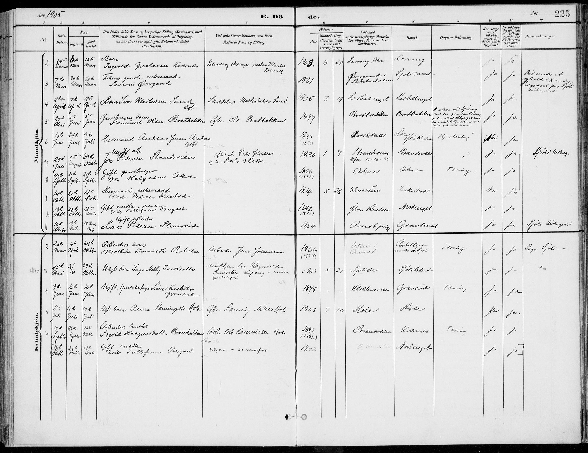 Rendalen prestekontor, SAH/PREST-054/H/Ha/Haa/L0011: Parish register (official) no. 11, 1901-1925, p. 225