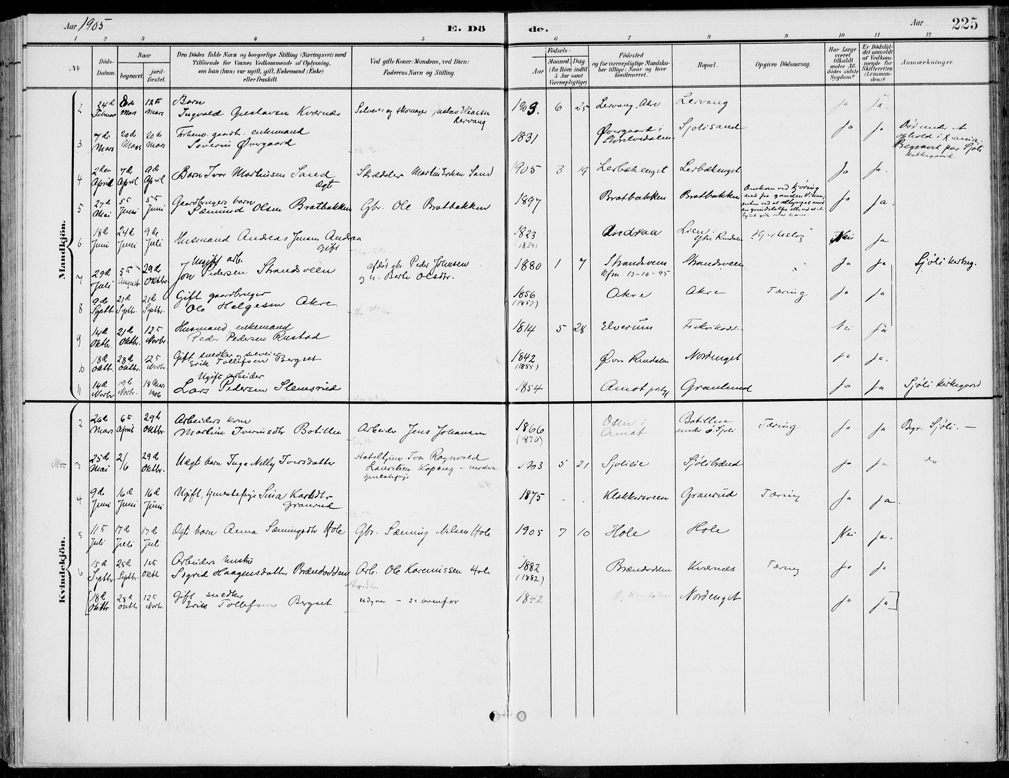 Rendalen prestekontor, AV/SAH-PREST-054/H/Ha/Haa/L0011: Parish register (official) no. 11, 1901-1925, p. 225