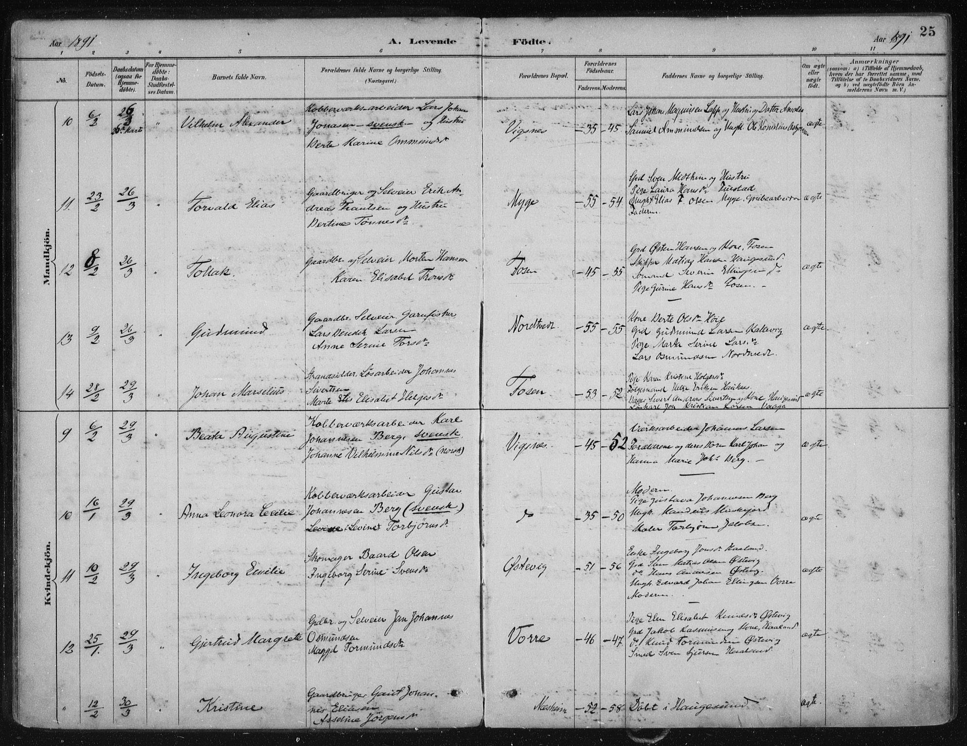 Avaldsnes sokneprestkontor, AV/SAST-A -101851/H/Ha/Haa/L0017: Parish register (official) no. A 17, 1889-1920, p. 25