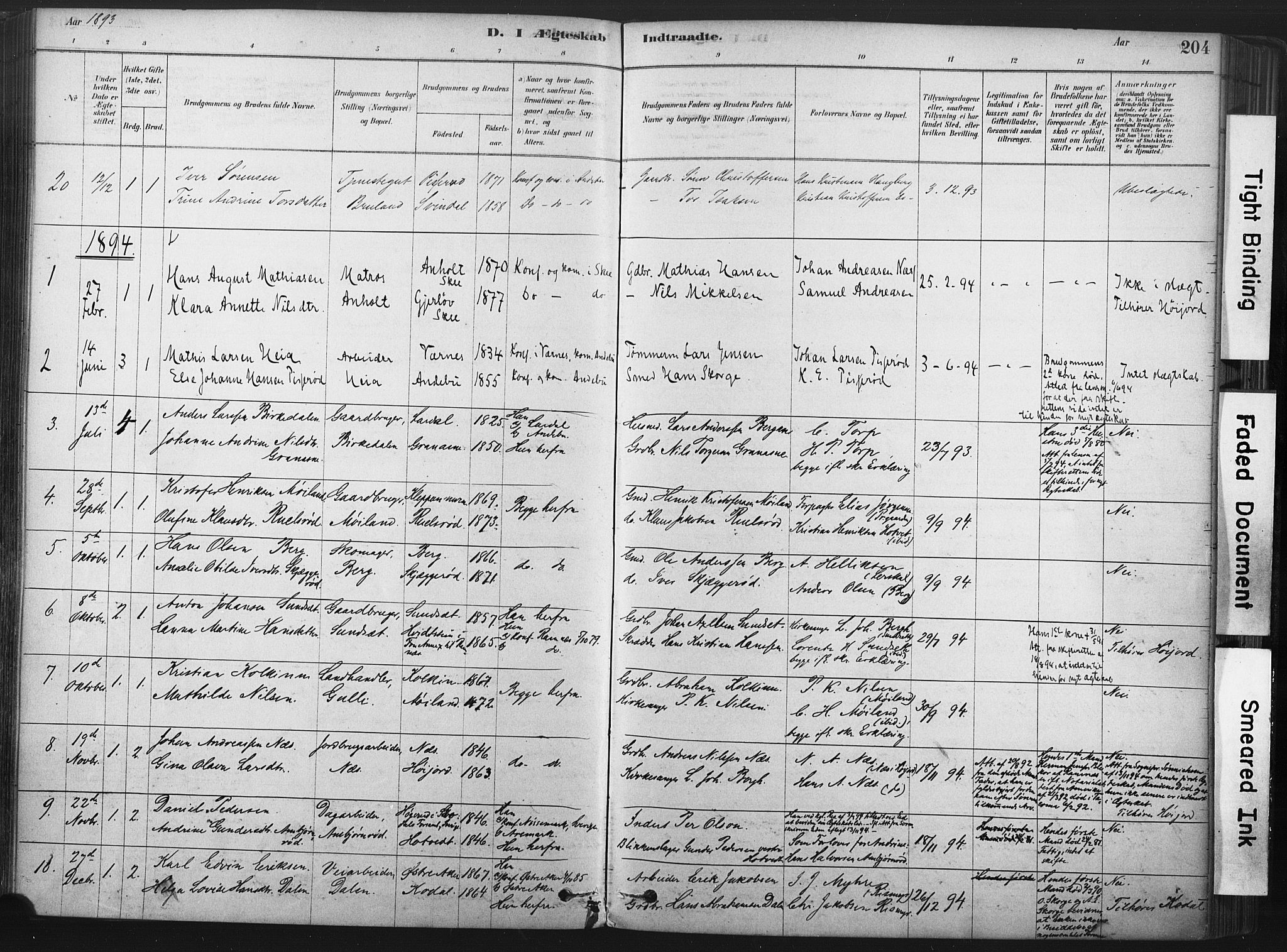 Andebu kirkebøker, SAKO/A-336/F/Fa/L0007: Parish register (official) no. 7, 1878-1899, p. 204