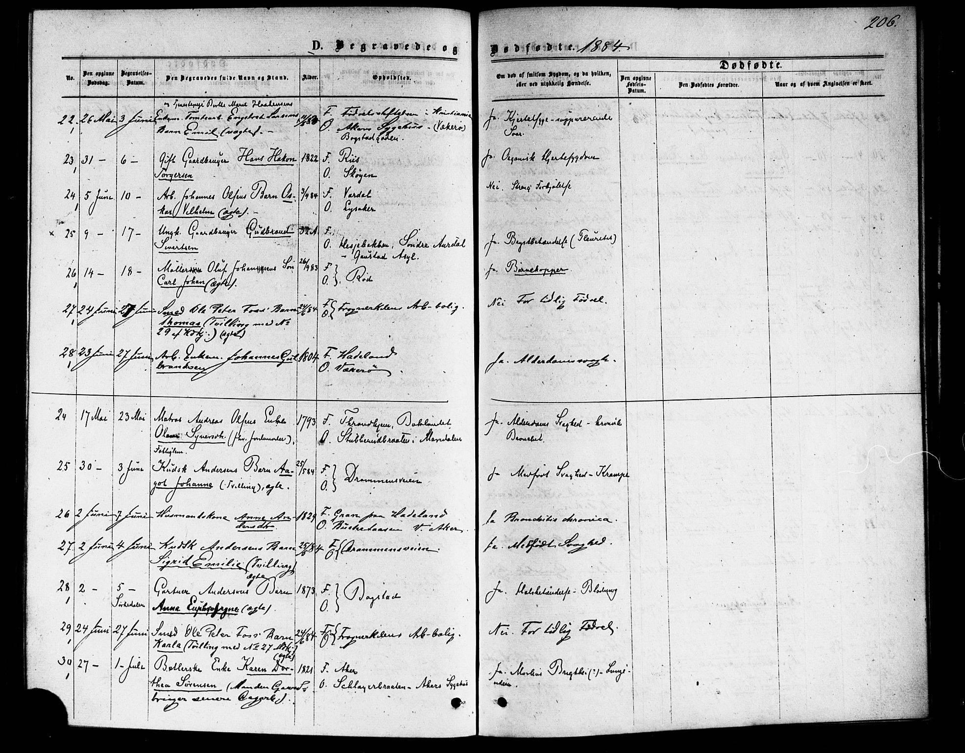 Vestre Aker prestekontor Kirkebøker, SAO/A-10025/F/Fa/L0006: Parish register (official) no. 6, 1873-1886, p. 206