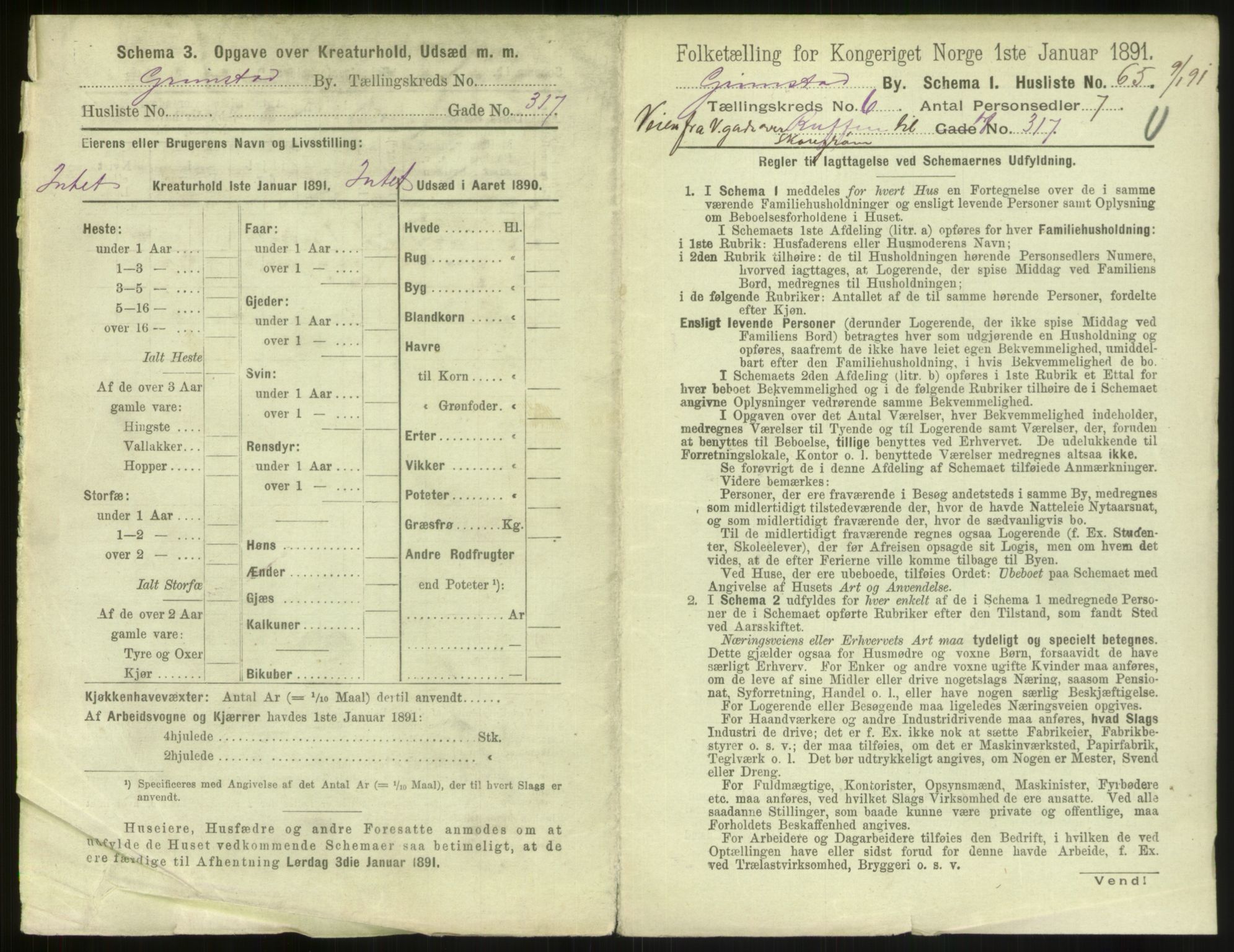 RA, 1891 census for 0904 Grimstad, 1891, p. 838