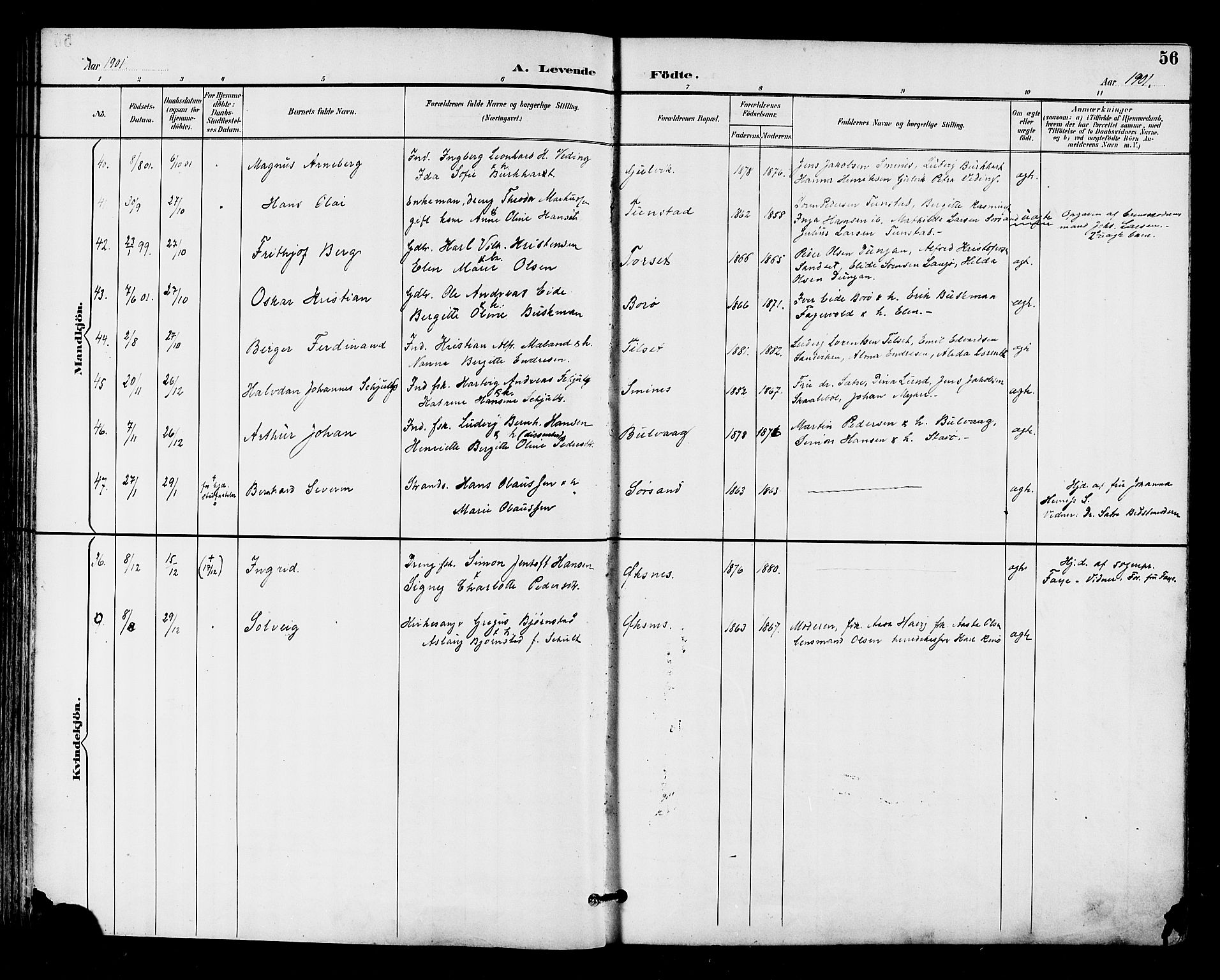 Ministerialprotokoller, klokkerbøker og fødselsregistre - Nordland, AV/SAT-A-1459/893/L1338: Parish register (official) no. 893A10, 1894-1903, p. 56