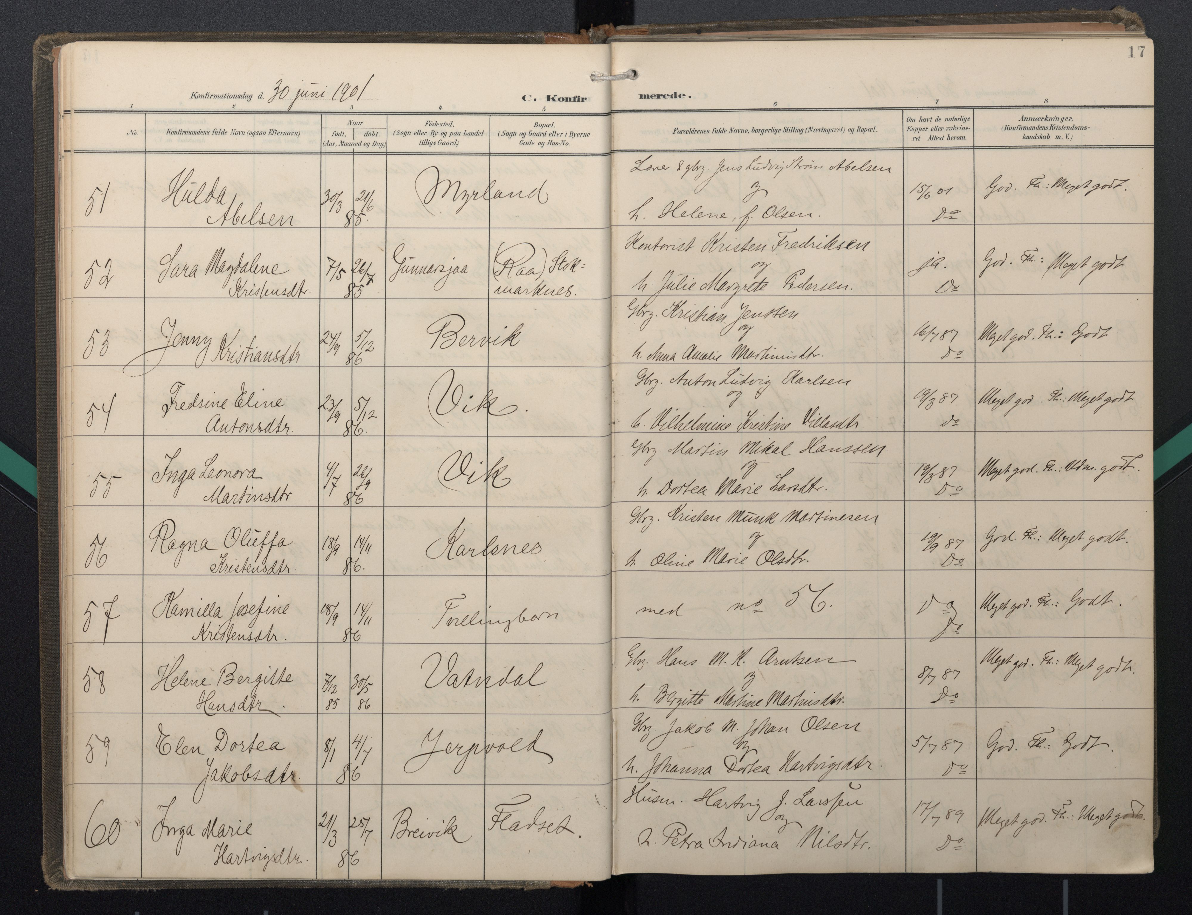 Ministerialprotokoller, klokkerbøker og fødselsregistre - Nordland, AV/SAT-A-1459/888/L1247: Parish register (official) no. 888A13, 1900-1911, p. 17