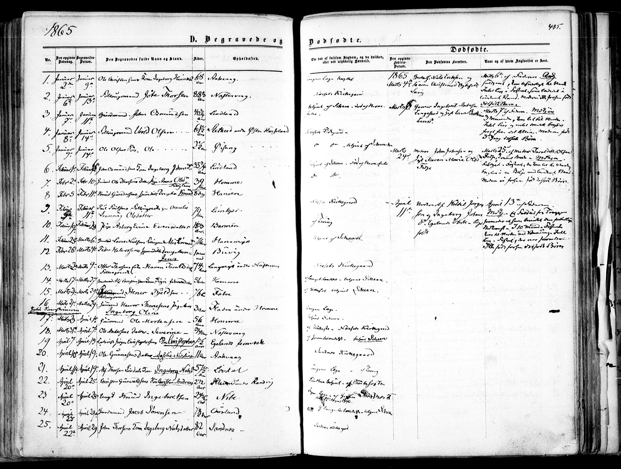 Søndeled sokneprestkontor, SAK/1111-0038/F/Fa/L0003: Parish register (official) no. A 3, 1861-1879, p. 485