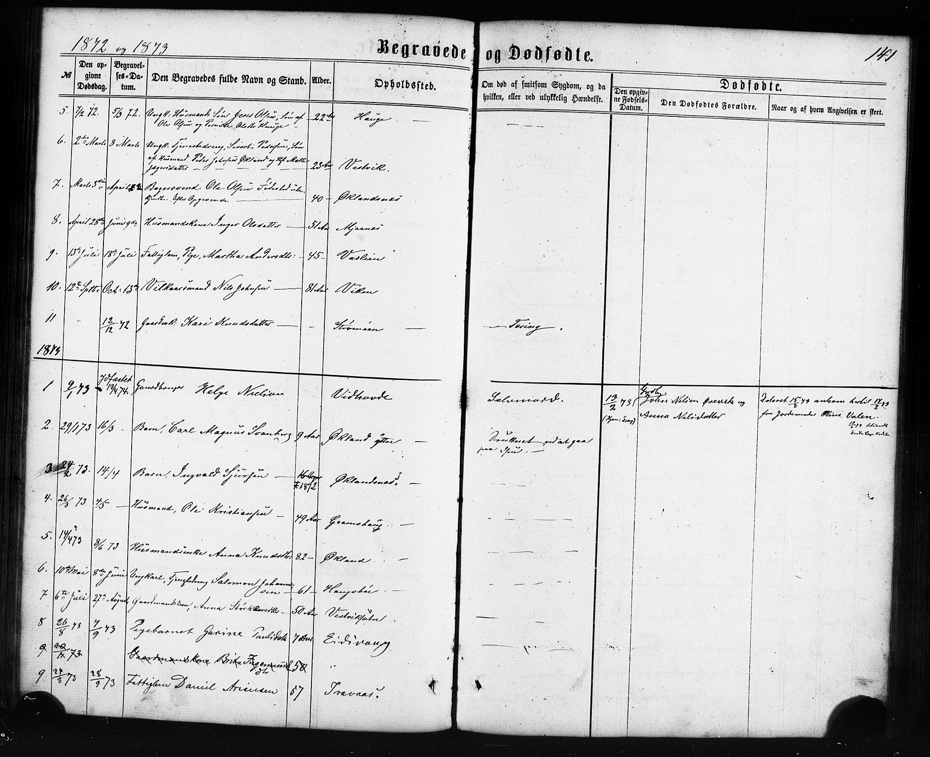 Sveio Sokneprestembete, SAB/A-78501/H/Haa: Parish register (official) no. C 1, 1862-1880, p. 141