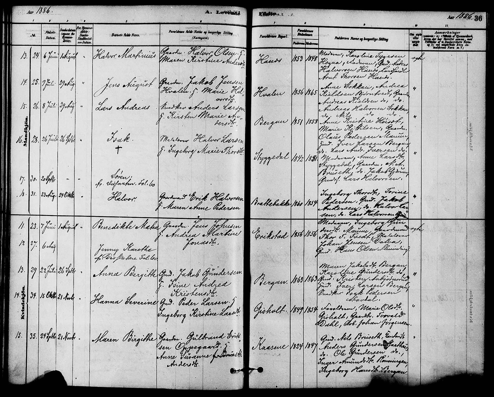 Solum kirkebøker, SAKO/A-306/F/Fb/L0001: Parish register (official) no. II 1, 1877-1892, p. 36