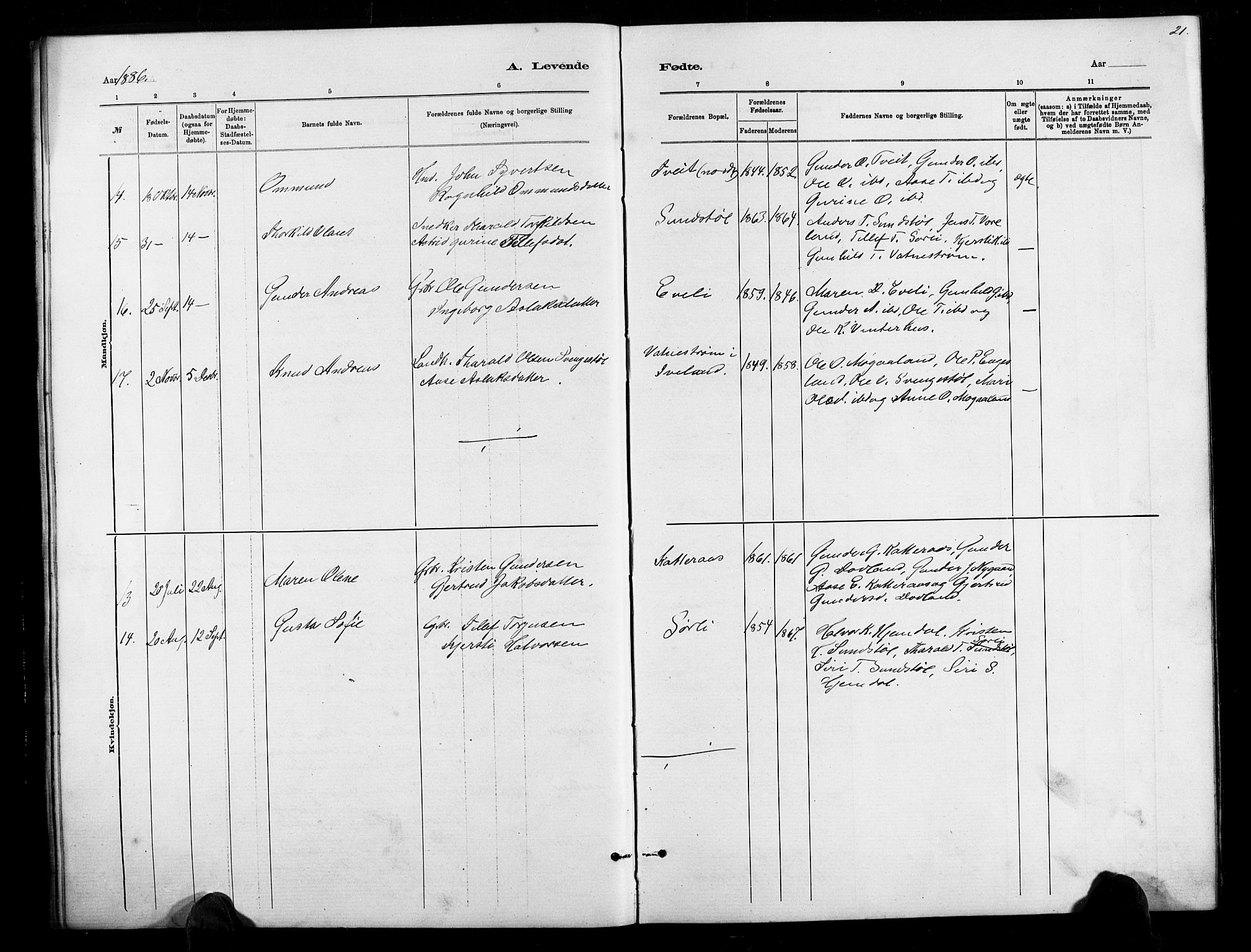 Herefoss sokneprestkontor, AV/SAK-1111-0019/F/Fb/Fbb/L0002: Parish register (copy) no. B 2, 1879-1894, p. 21