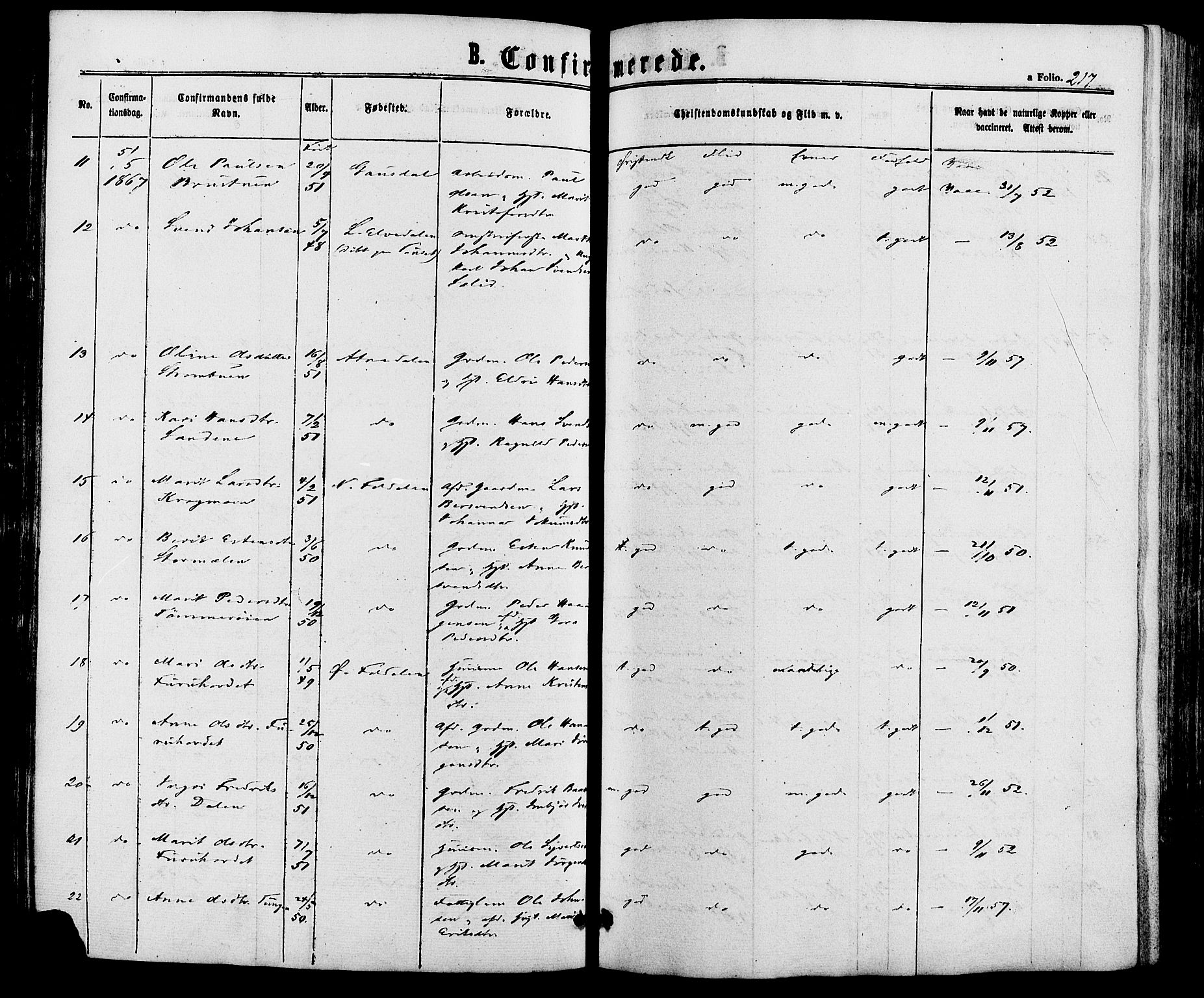 Alvdal prestekontor, AV/SAH-PREST-060/H/Ha/Haa/L0001: Parish register (official) no. 1, 1863-1882, p. 217