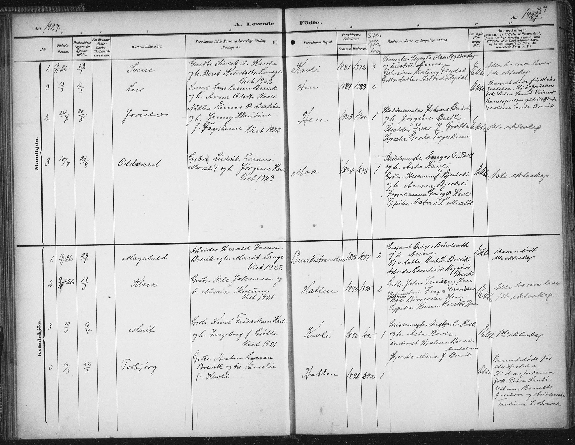 Ministerialprotokoller, klokkerbøker og fødselsregistre - Møre og Romsdal, AV/SAT-A-1454/545/L0589: Parish register (copy) no. 545C03, 1902-1937, p. 87