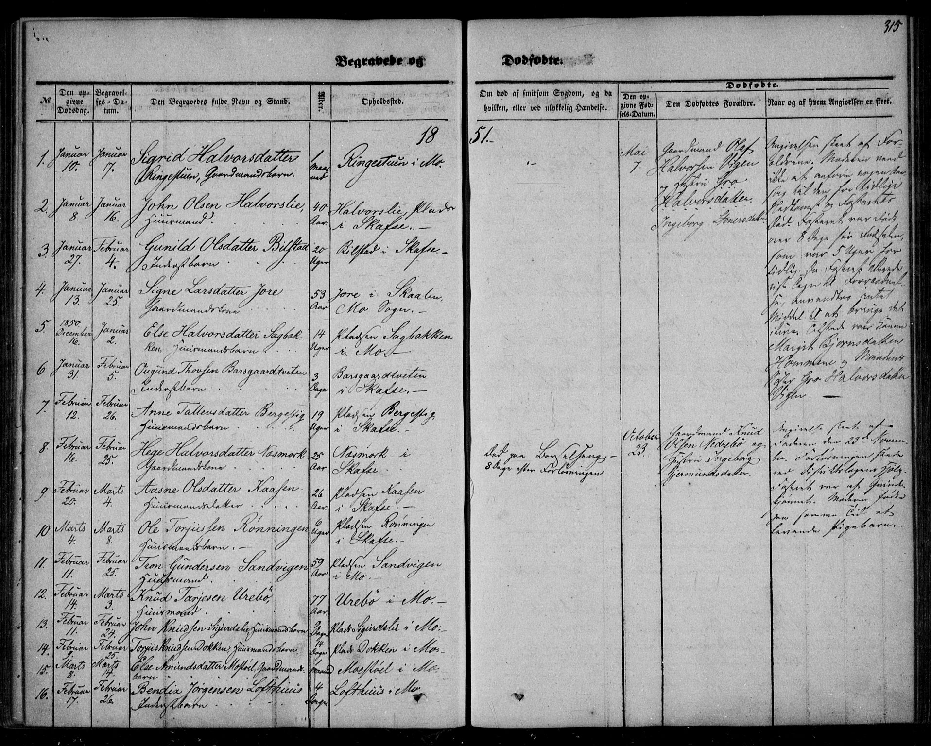 Mo kirkebøker, SAKO/A-286/F/Fa/L0005: Parish register (official) no. I 5, 1844-1864, p. 315