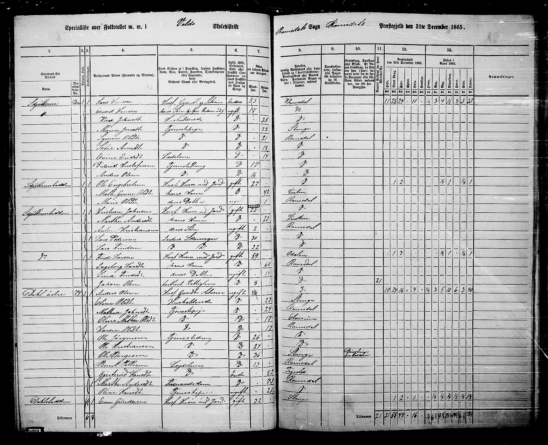 RA, 1865 census for Romedal, 1865, p. 65