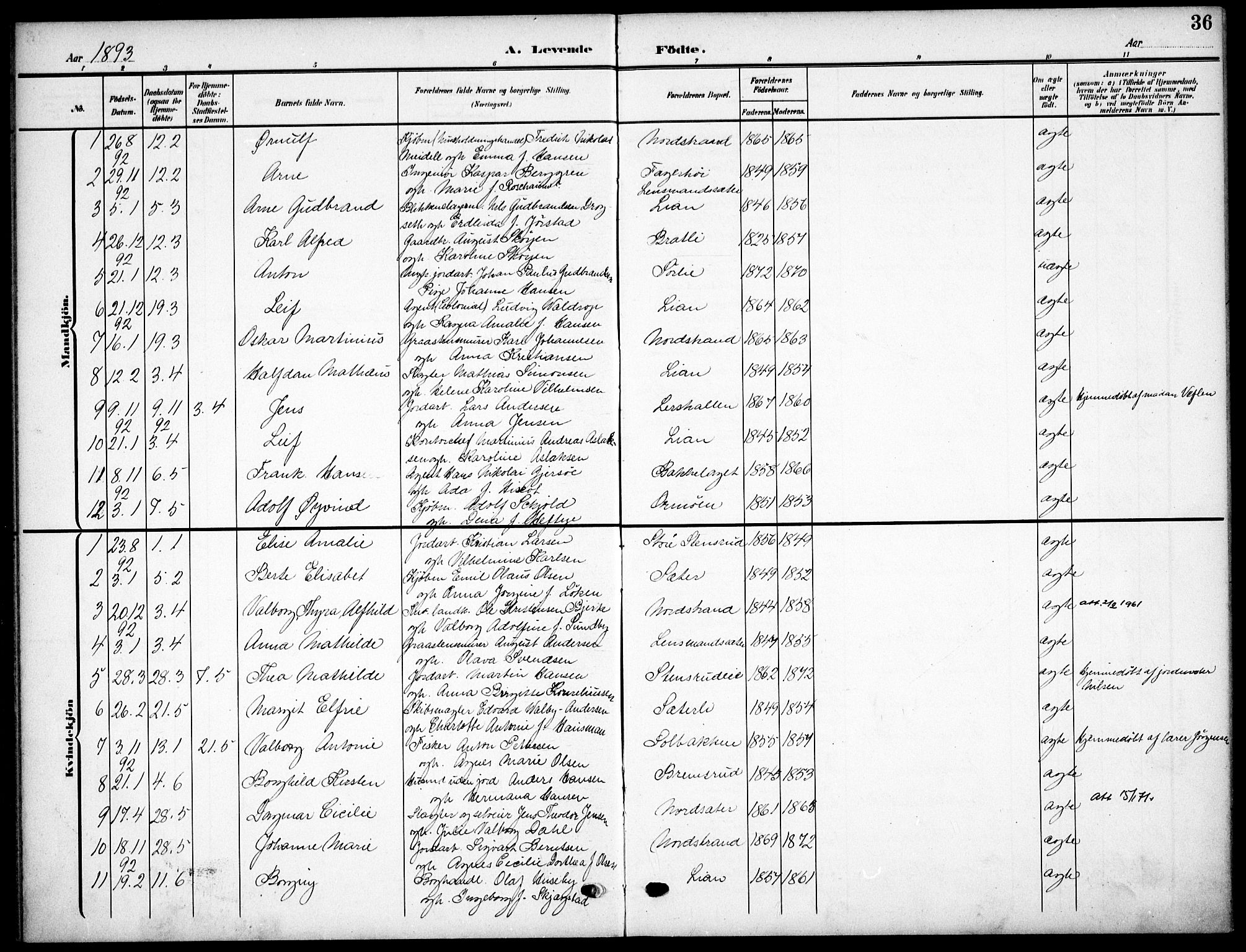 Nordstrand prestekontor Kirkebøker, AV/SAO-A-10362a/F/Fa/L0000: Parish register (official) no.  0, 1881-1900, p. 36