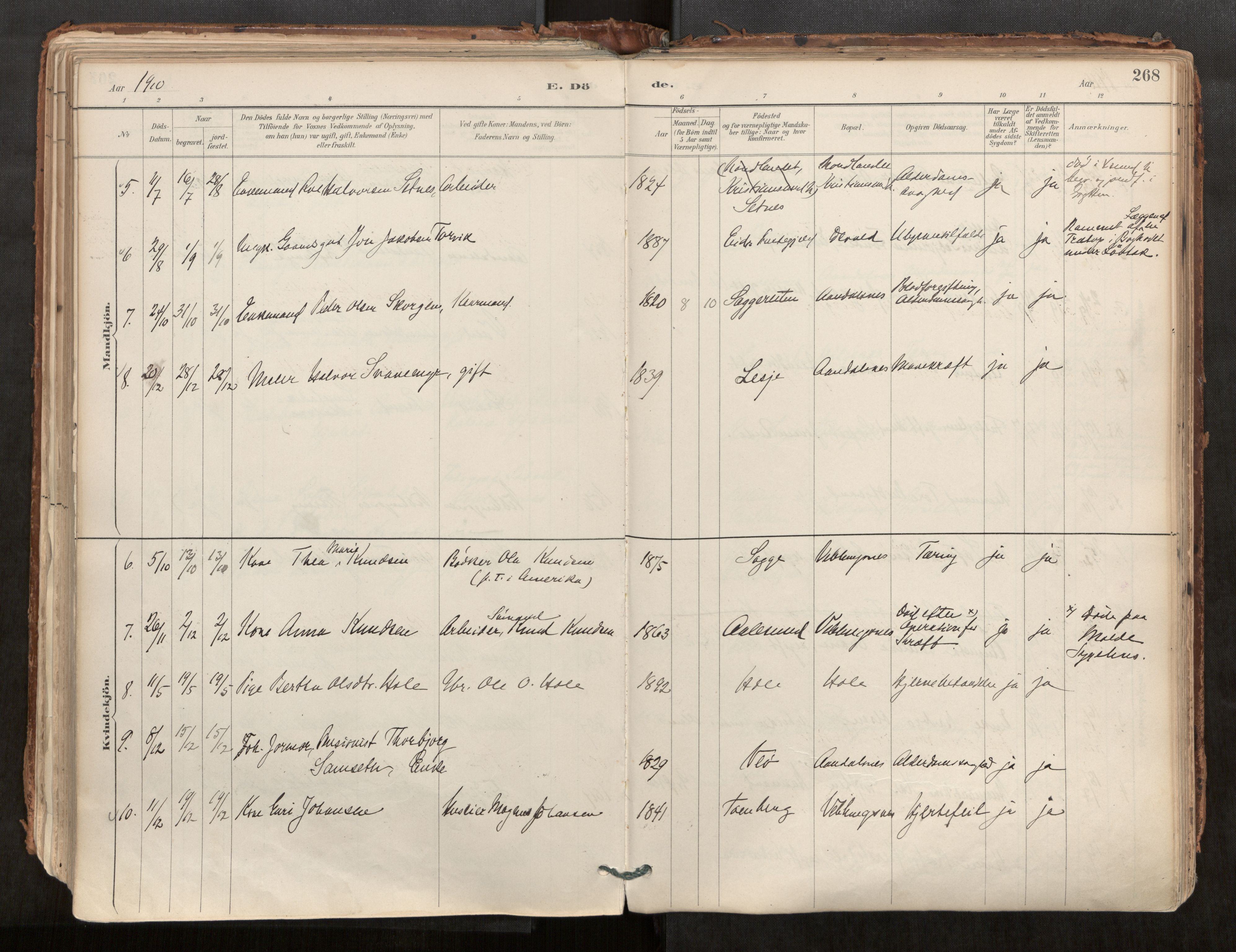 Ministerialprotokoller, klokkerbøker og fødselsregistre - Møre og Romsdal, AV/SAT-A-1454/544/L0585: Parish register (official) no. 544A06, 1887-1924, p. 268