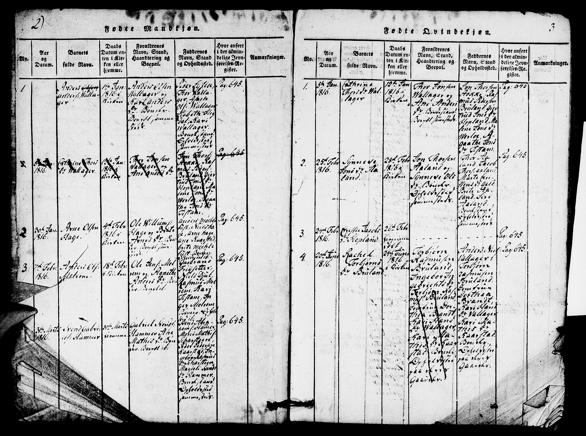 Innvik sokneprestembete, AV/SAB-A-80501: Parish register (copy) no. C 1, 1816-1820, p. 2-3