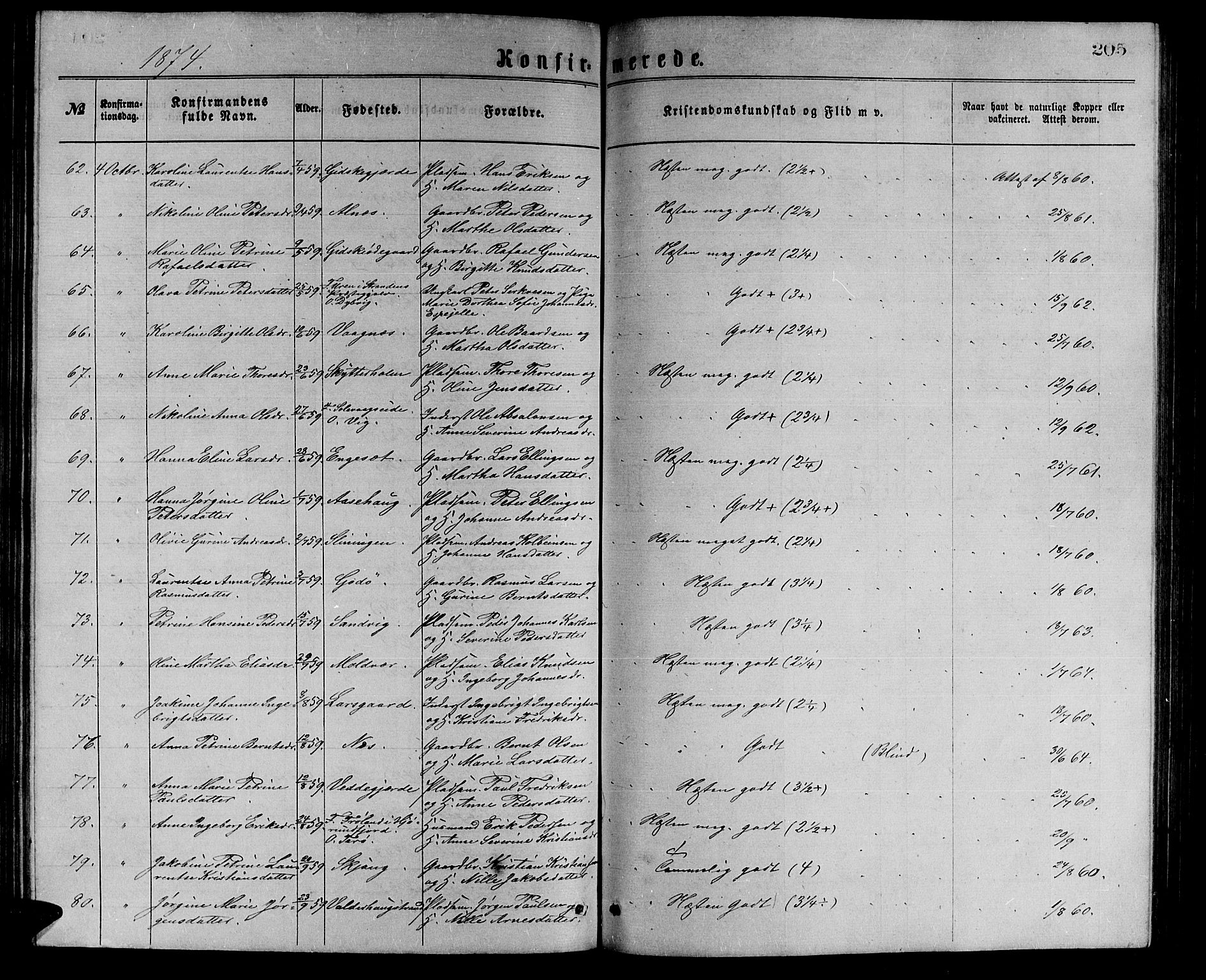 Ministerialprotokoller, klokkerbøker og fødselsregistre - Møre og Romsdal, AV/SAT-A-1454/528/L0429: Parish register (copy) no. 528C10, 1872-1886, p. 205