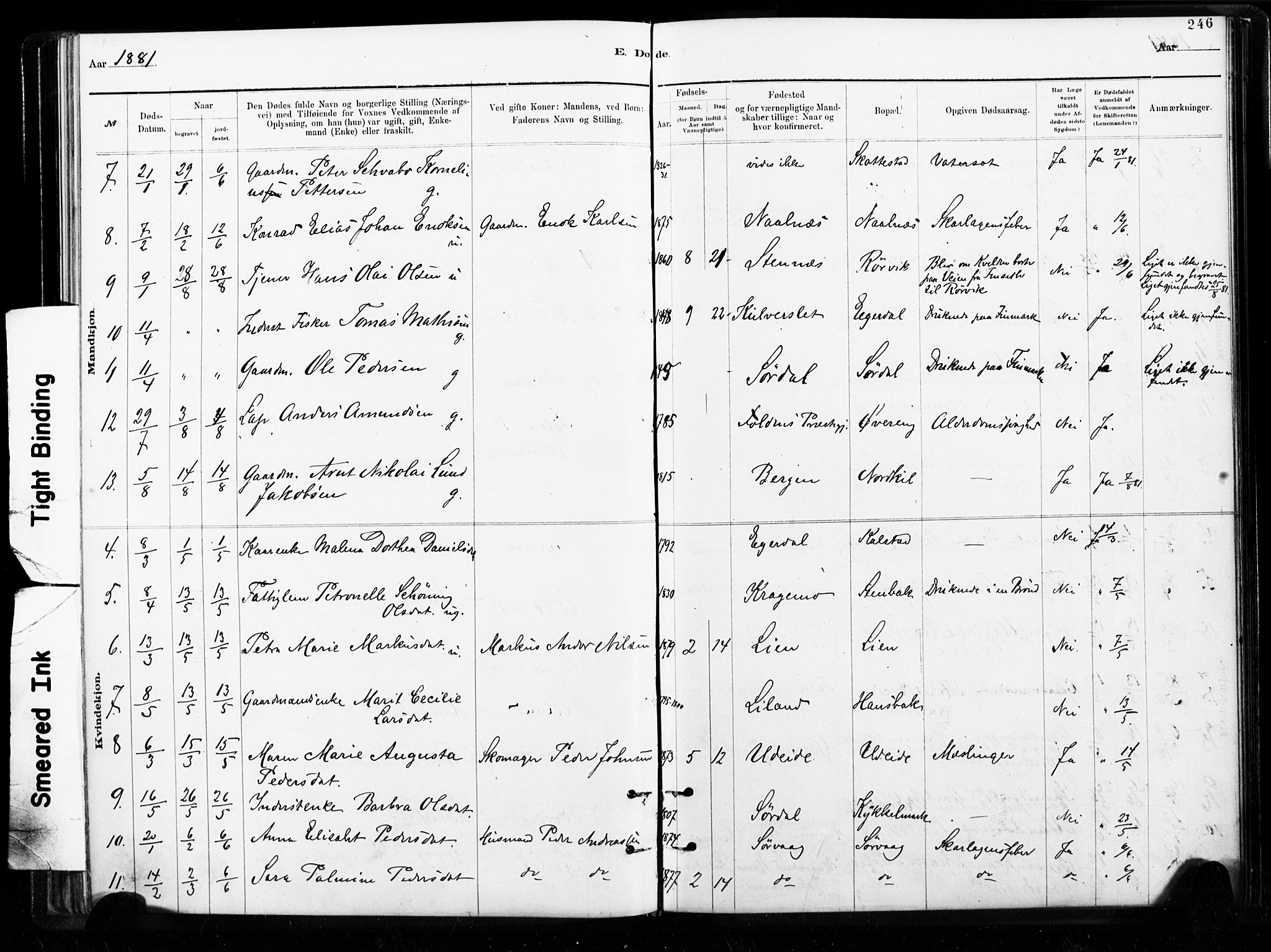 Ministerialprotokoller, klokkerbøker og fødselsregistre - Nordland, AV/SAT-A-1459/859/L0846: Parish register (official) no. 859A06, 1878-1889, p. 246