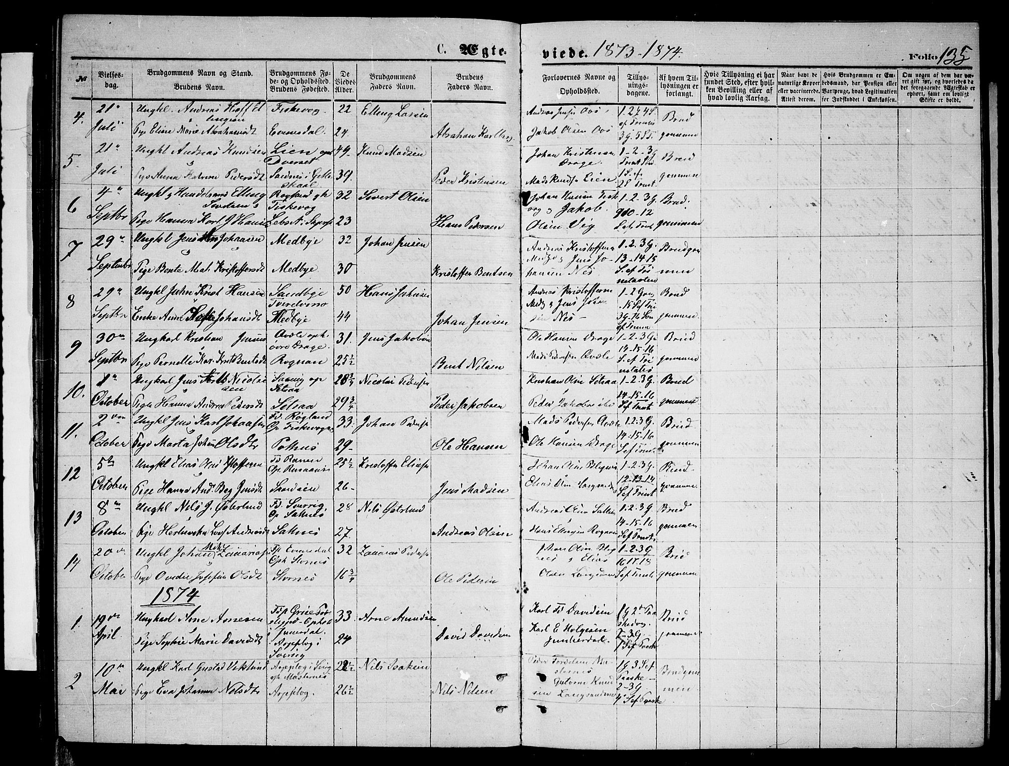 Ministerialprotokoller, klokkerbøker og fødselsregistre - Nordland, AV/SAT-A-1459/847/L0679: Parish register (copy) no. 847C07, 1870-1888, p. 135