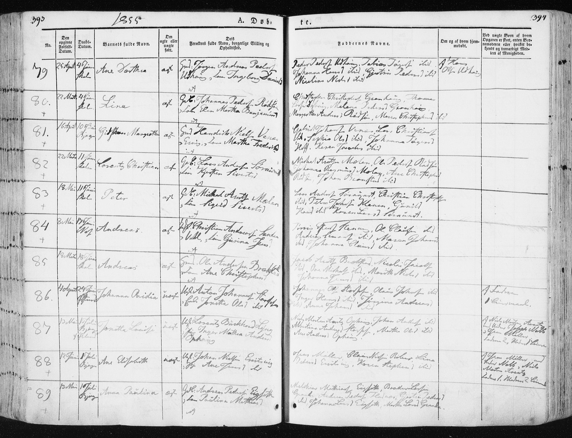 Ministerialprotokoller, klokkerbøker og fødselsregistre - Sør-Trøndelag, SAT/A-1456/659/L0736: Parish register (official) no. 659A06, 1842-1856, p. 393-394