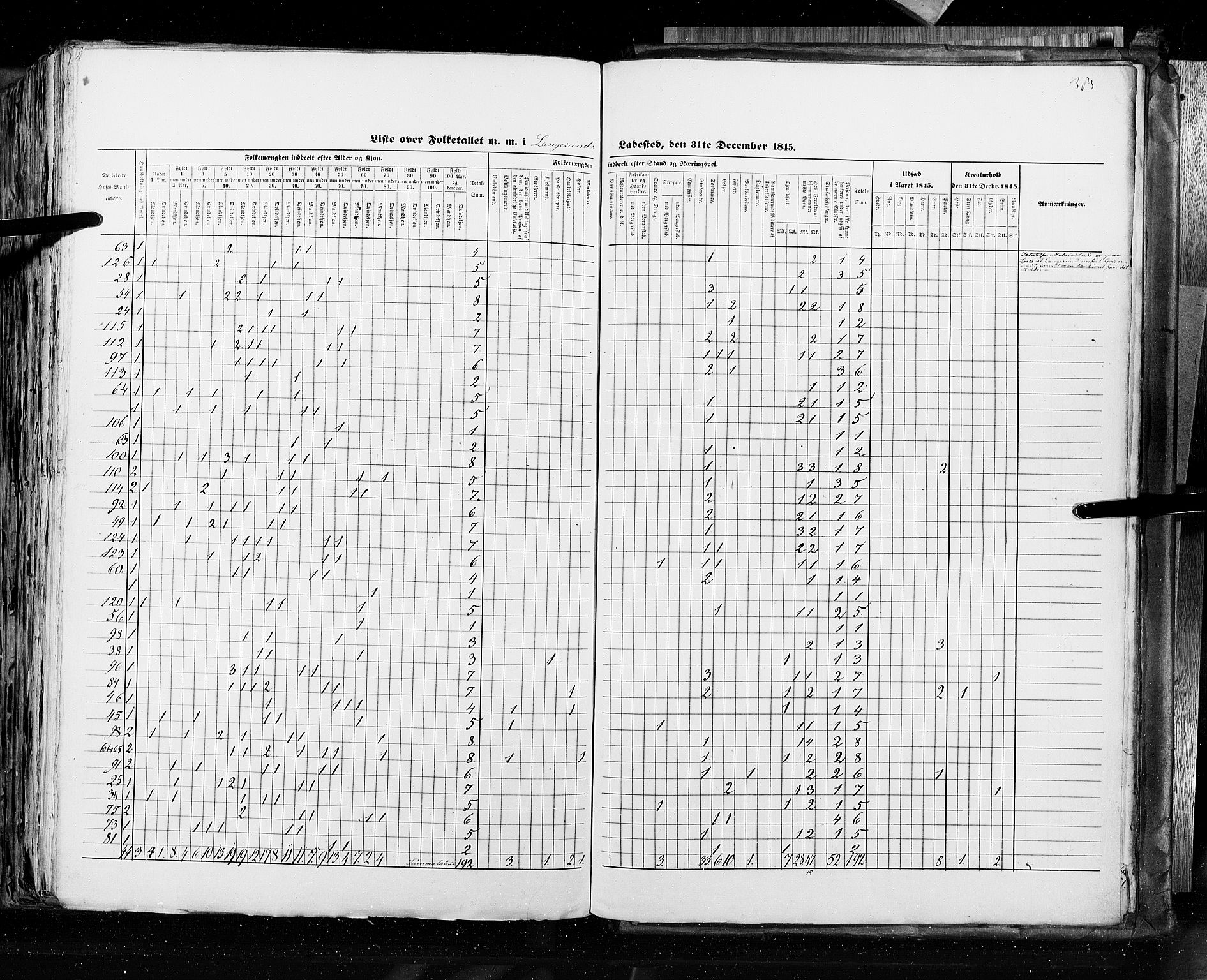 RA, Census 1845, vol. 10: Cities, 1845, p. 383