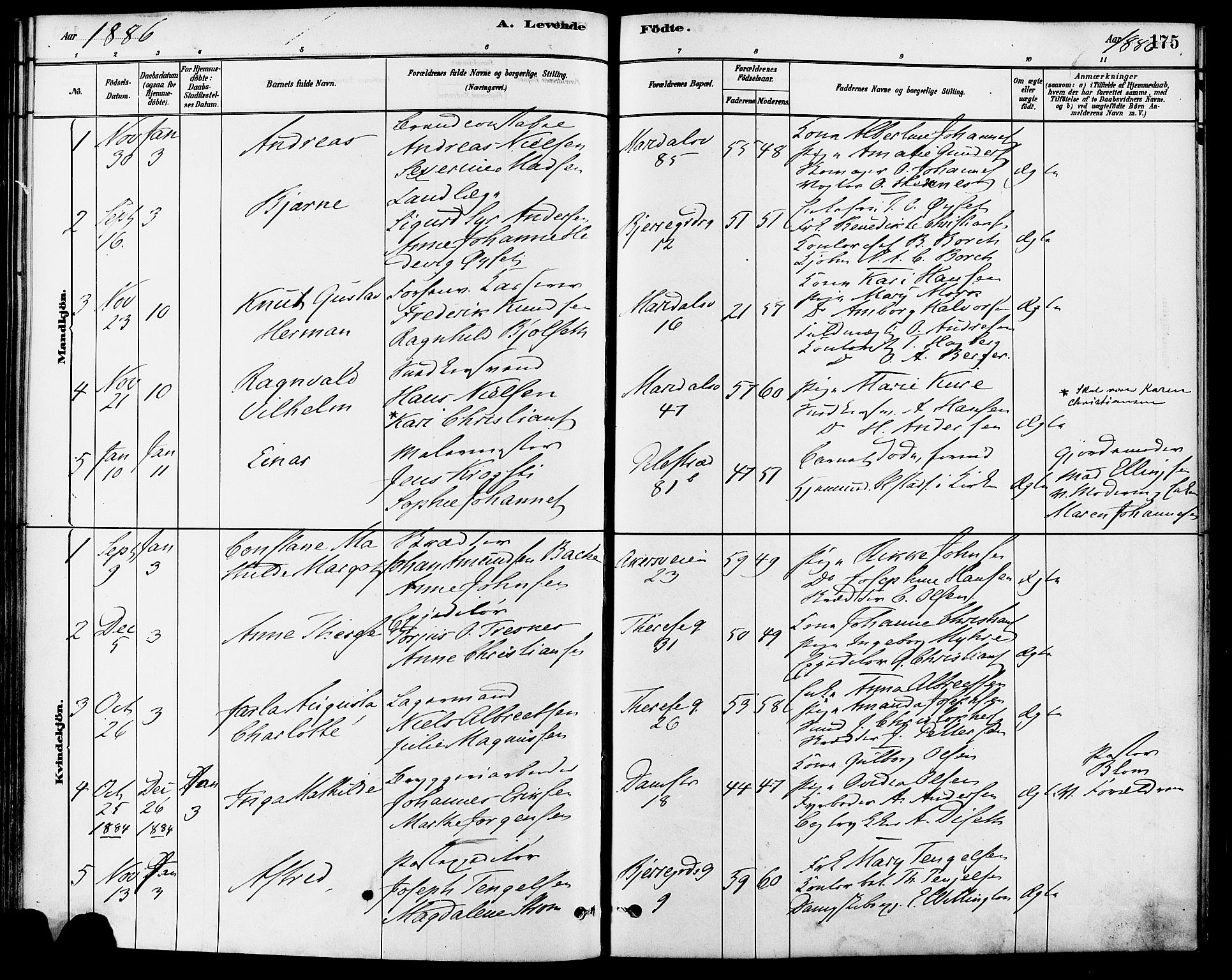 Gamle Aker prestekontor Kirkebøker, SAO/A-10617a/F/L0006: Parish register (official) no. 6, 1880-1887, p. 175