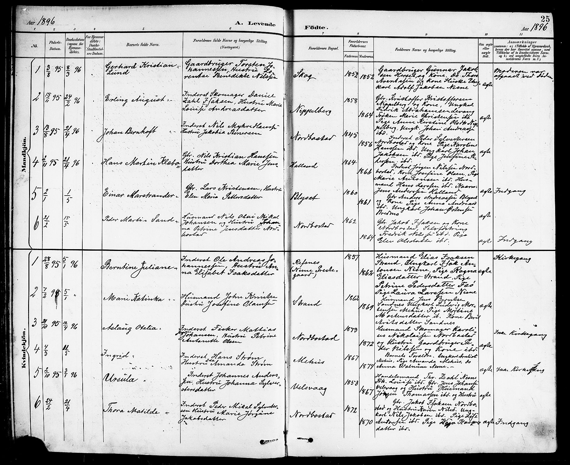 Ministerialprotokoller, klokkerbøker og fødselsregistre - Nordland, AV/SAT-A-1459/838/L0559: Parish register (copy) no. 838C06, 1893-1910, p. 25