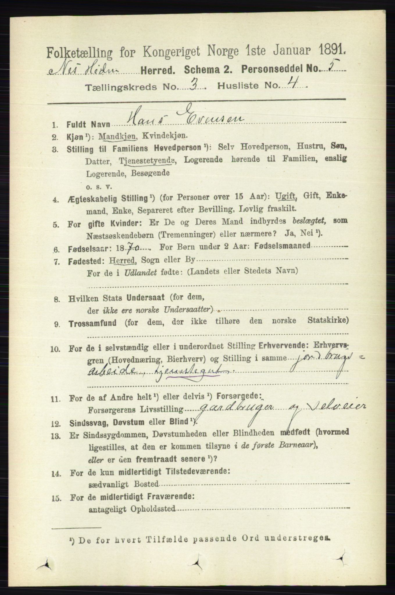 RA, 1891 census for 0411 Nes, 1891, p. 1616