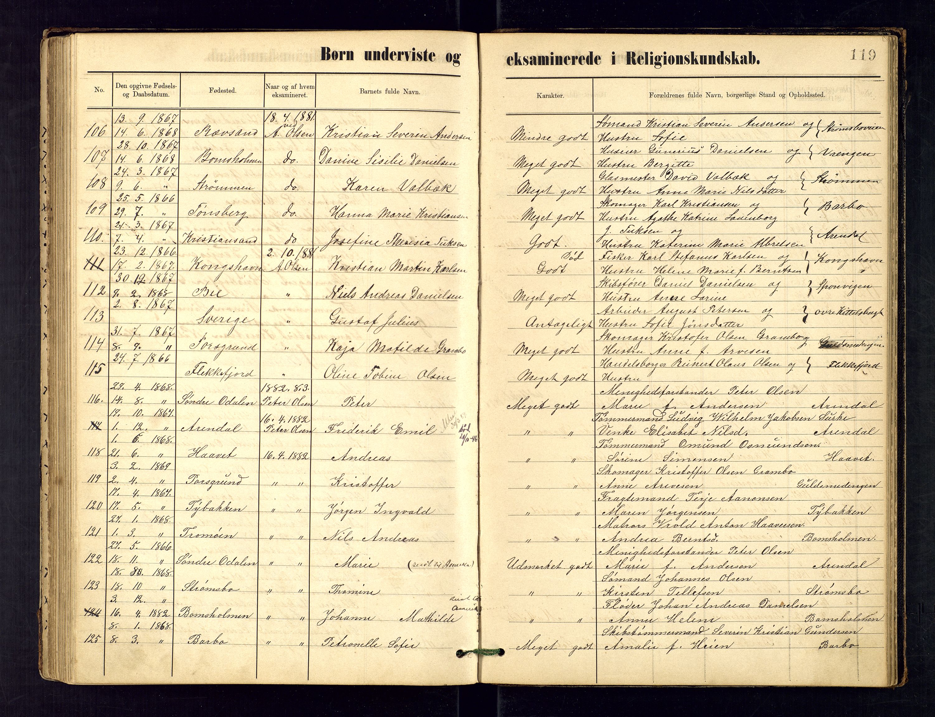 Metodistmenigheten, Arendal, SAK/1292-0011/F/Fa/L0003: Dissenter register no. 3, 1879-1893, p. 119