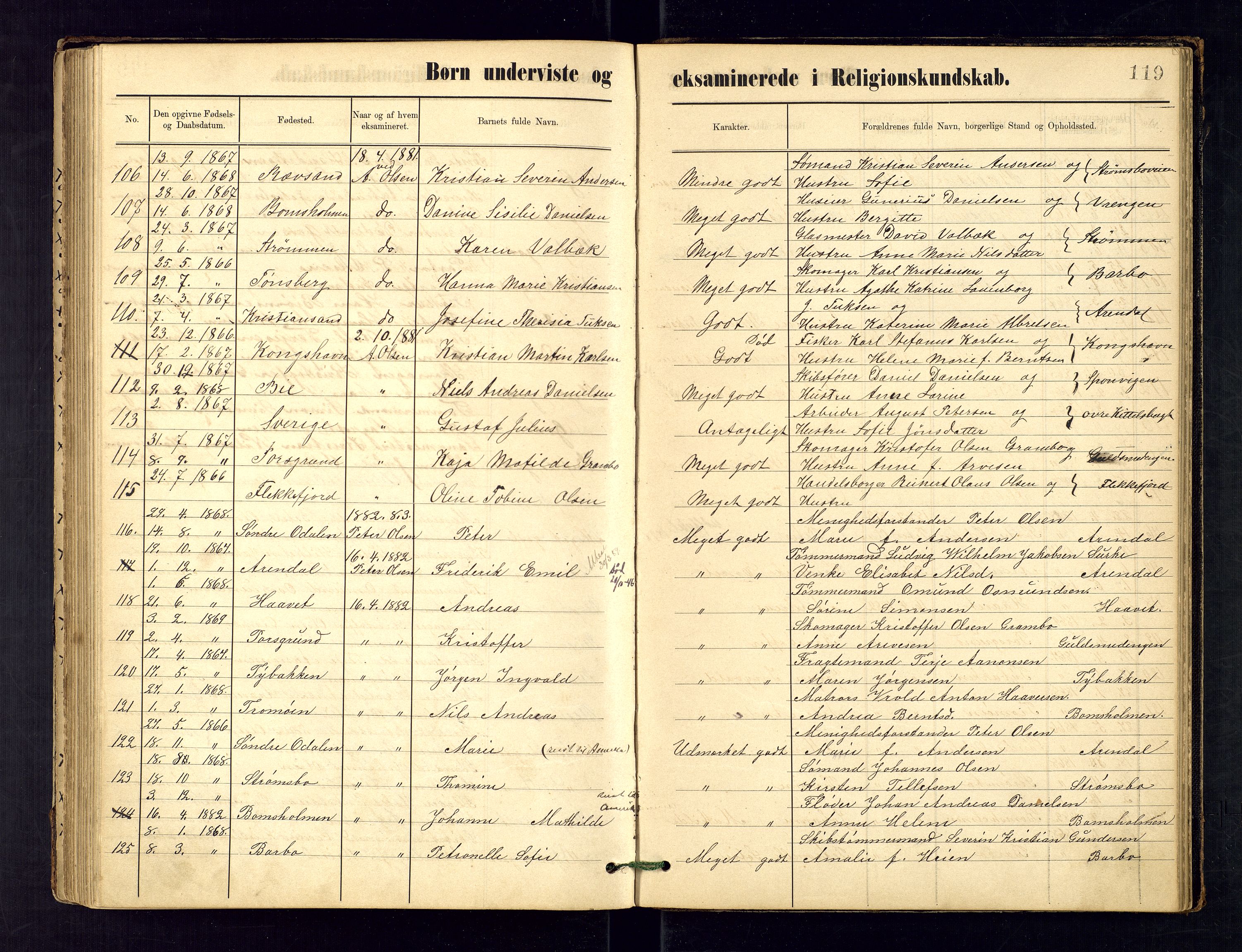 Metodistmenigheten, Arendal, AV/SAK-1292-0011/F/Fa/L0003: Dissenter register no. 3, 1879-1893, p. 119