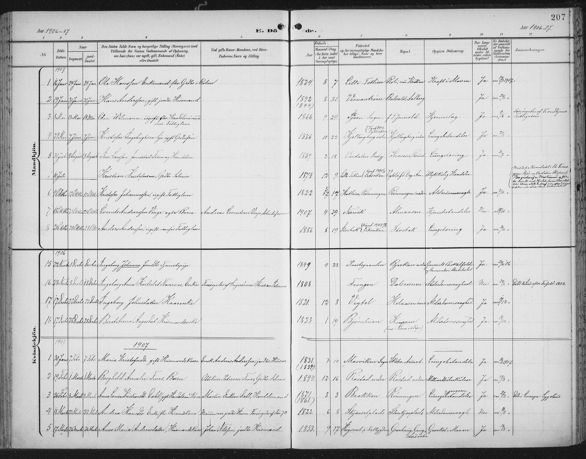 Ministerialprotokoller, klokkerbøker og fødselsregistre - Nord-Trøndelag, SAT/A-1458/701/L0011: Parish register (official) no. 701A11, 1899-1915, p. 207