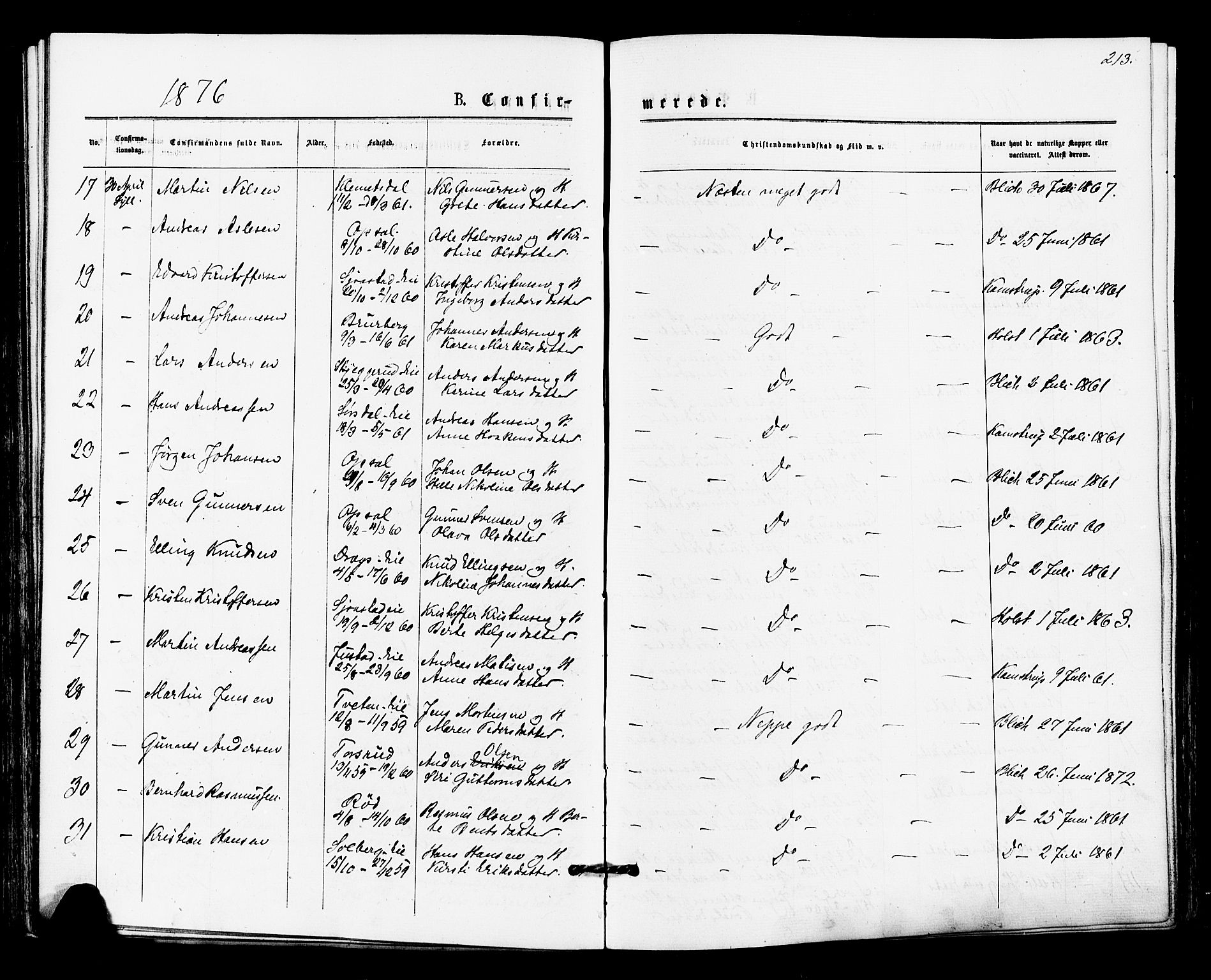 Lier kirkebøker, AV/SAKO-A-230/F/Fa/L0014: Parish register (official) no. I 14, 1875-1882, p. 213