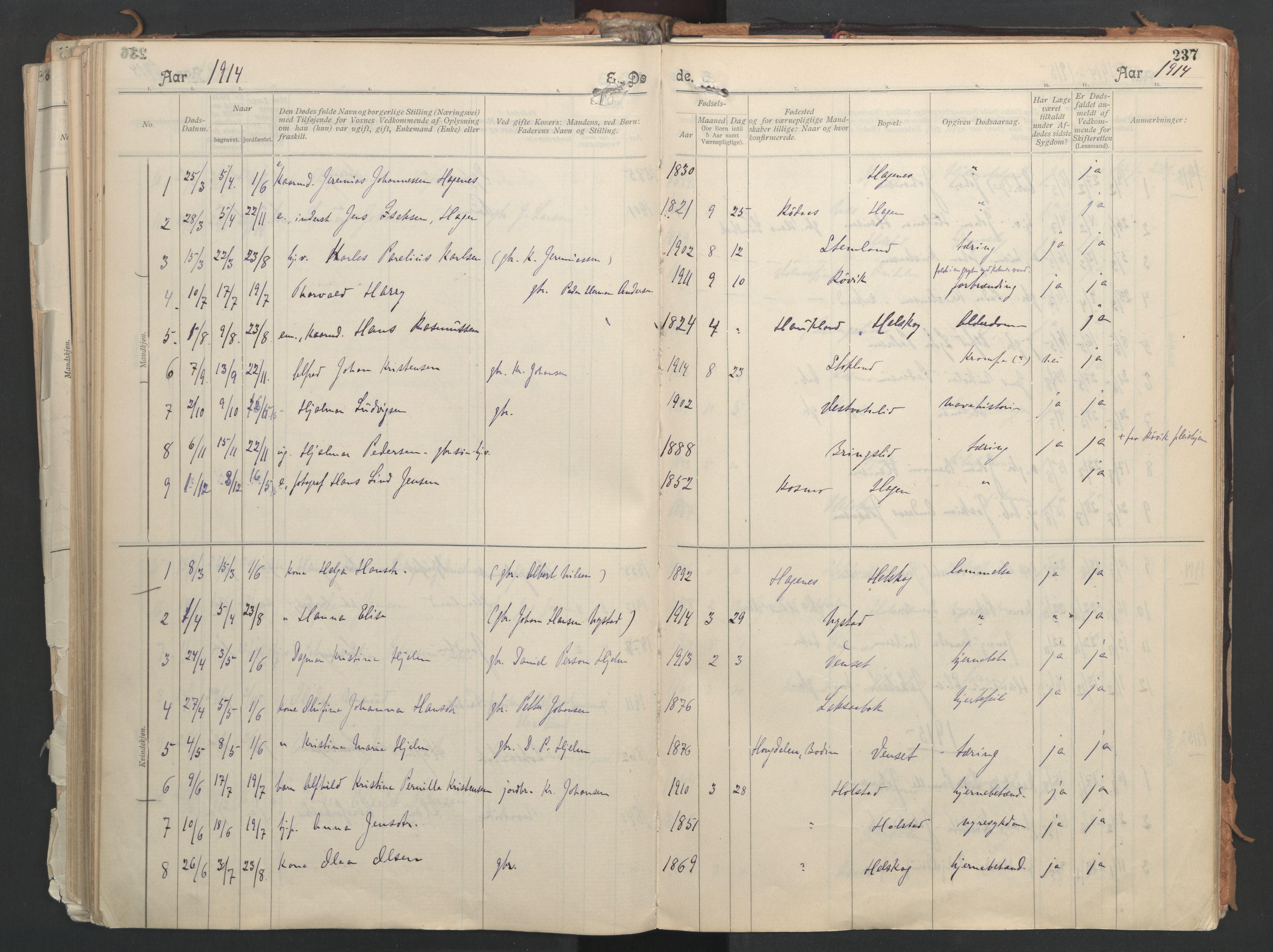 Ministerialprotokoller, klokkerbøker og fødselsregistre - Nordland, AV/SAT-A-1459/851/L0724: Parish register (official) no. 851A01, 1901-1922, p. 237