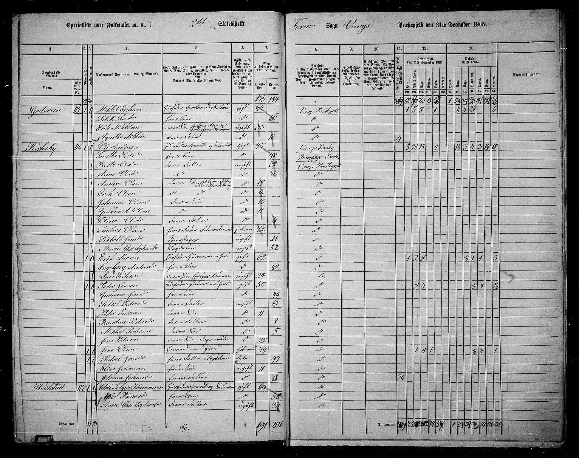 RA, 1865 census for Vang/Vang og Furnes, 1865, p. 135