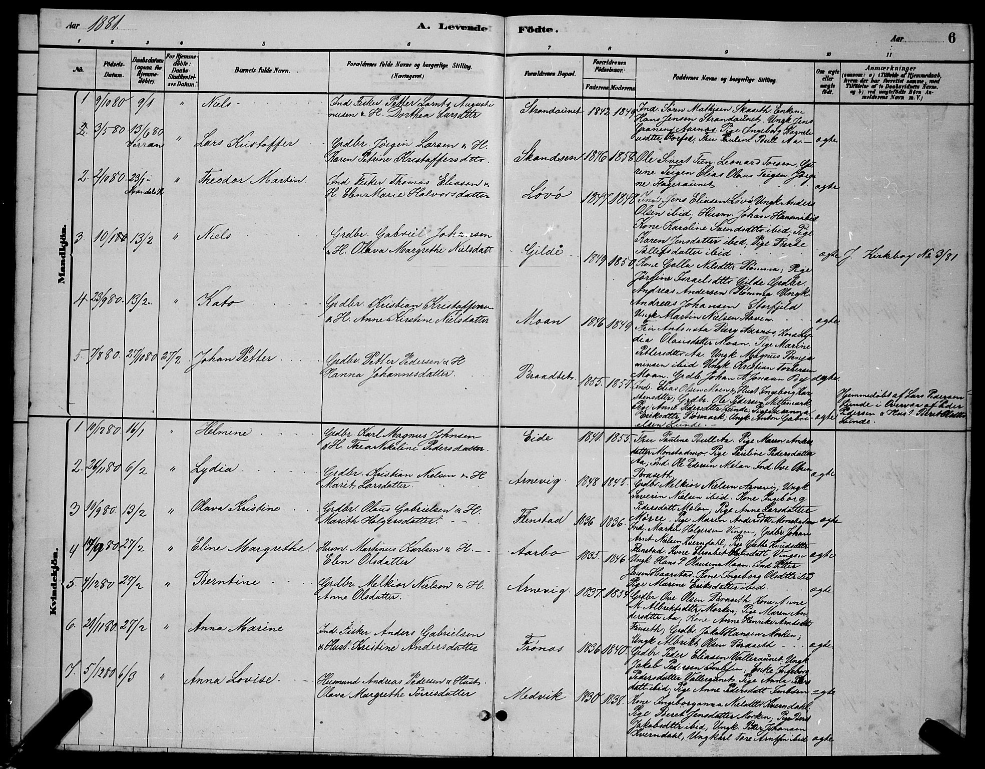 Ministerialprotokoller, klokkerbøker og fødselsregistre - Sør-Trøndelag, SAT/A-1456/655/L0687: Parish register (copy) no. 655C03, 1880-1898, p. 6