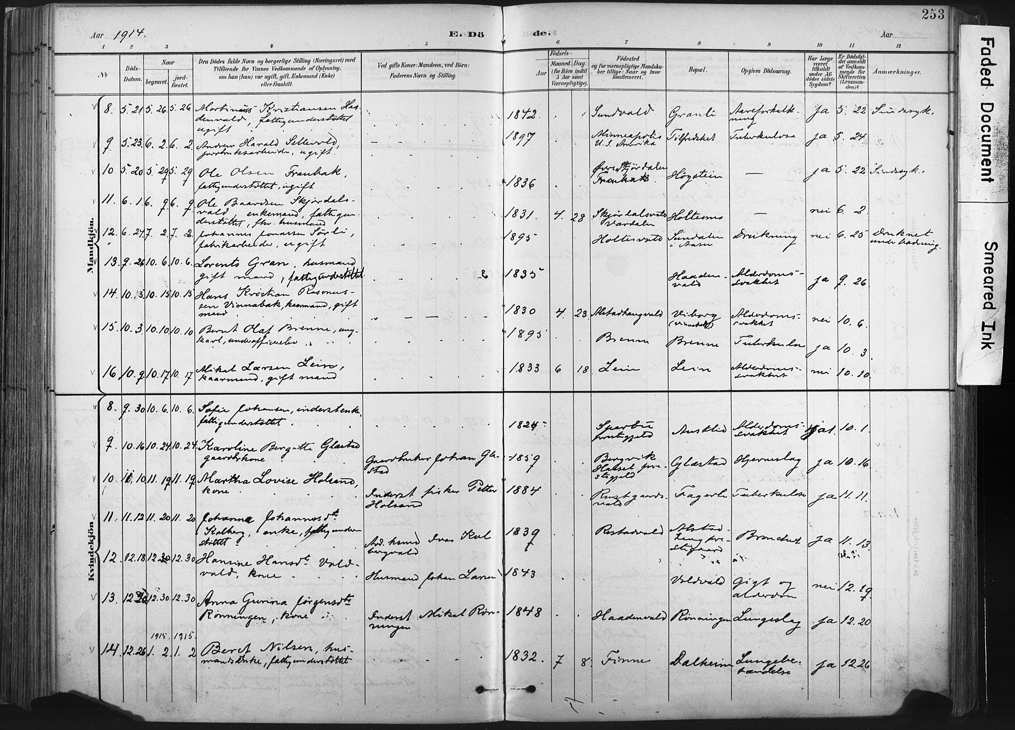 Ministerialprotokoller, klokkerbøker og fødselsregistre - Nord-Trøndelag, SAT/A-1458/717/L0162: Parish register (official) no. 717A12, 1898-1923, p. 253