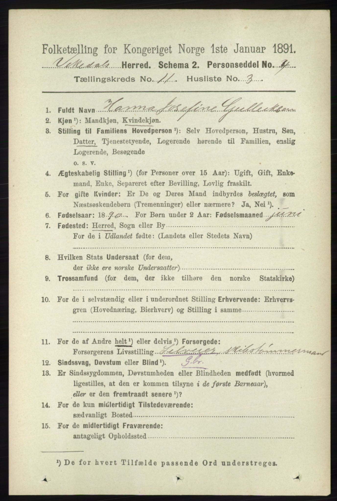 RA, 1891 census for 1157 Vikedal, 1891, p. 2908