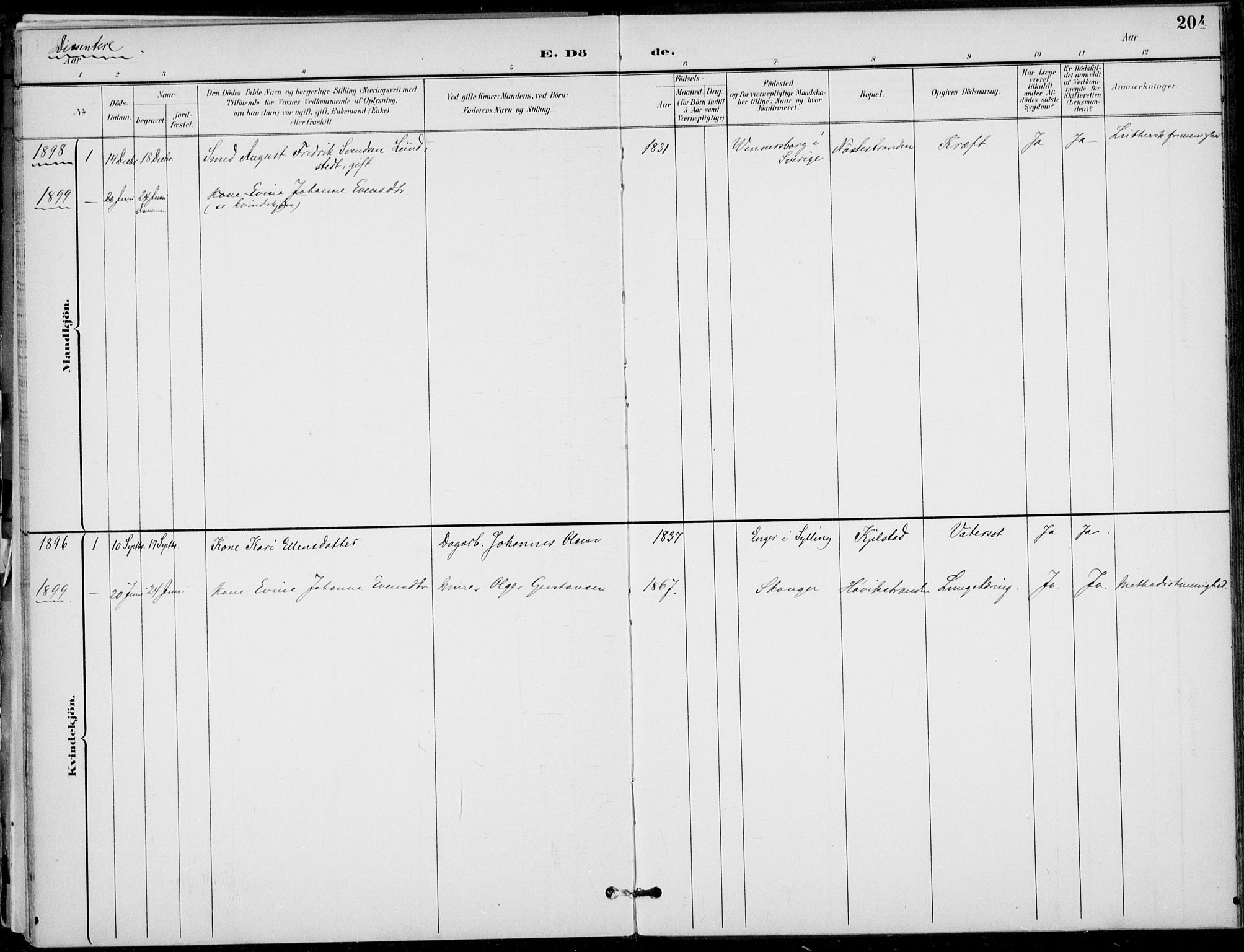 Lier kirkebøker, AV/SAKO-A-230/F/Fa/L0016: Parish register (official) no. I 16, 1895-1900, p. 204