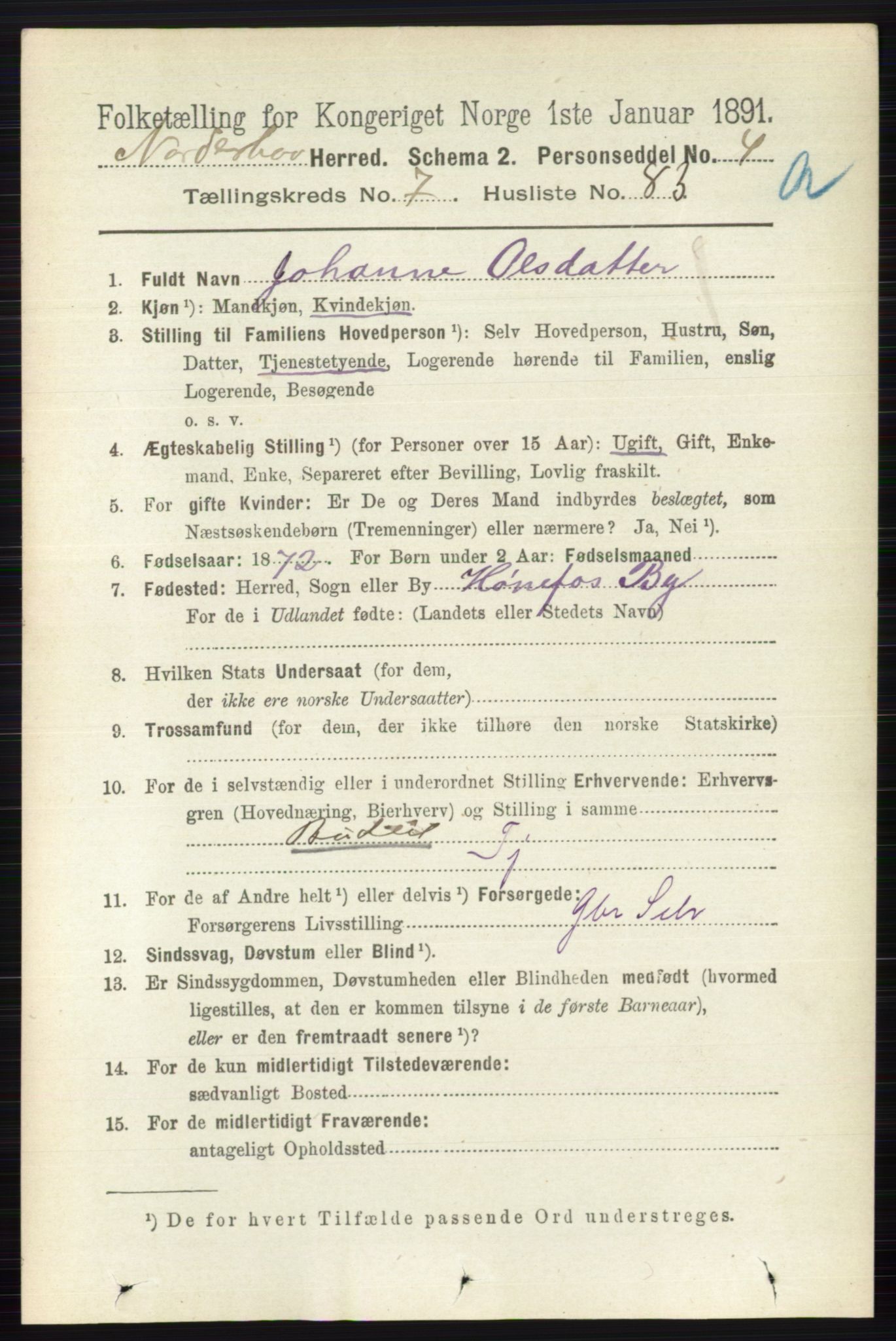 RA, 1891 census for 0613 Norderhov, 1891, p. 4953