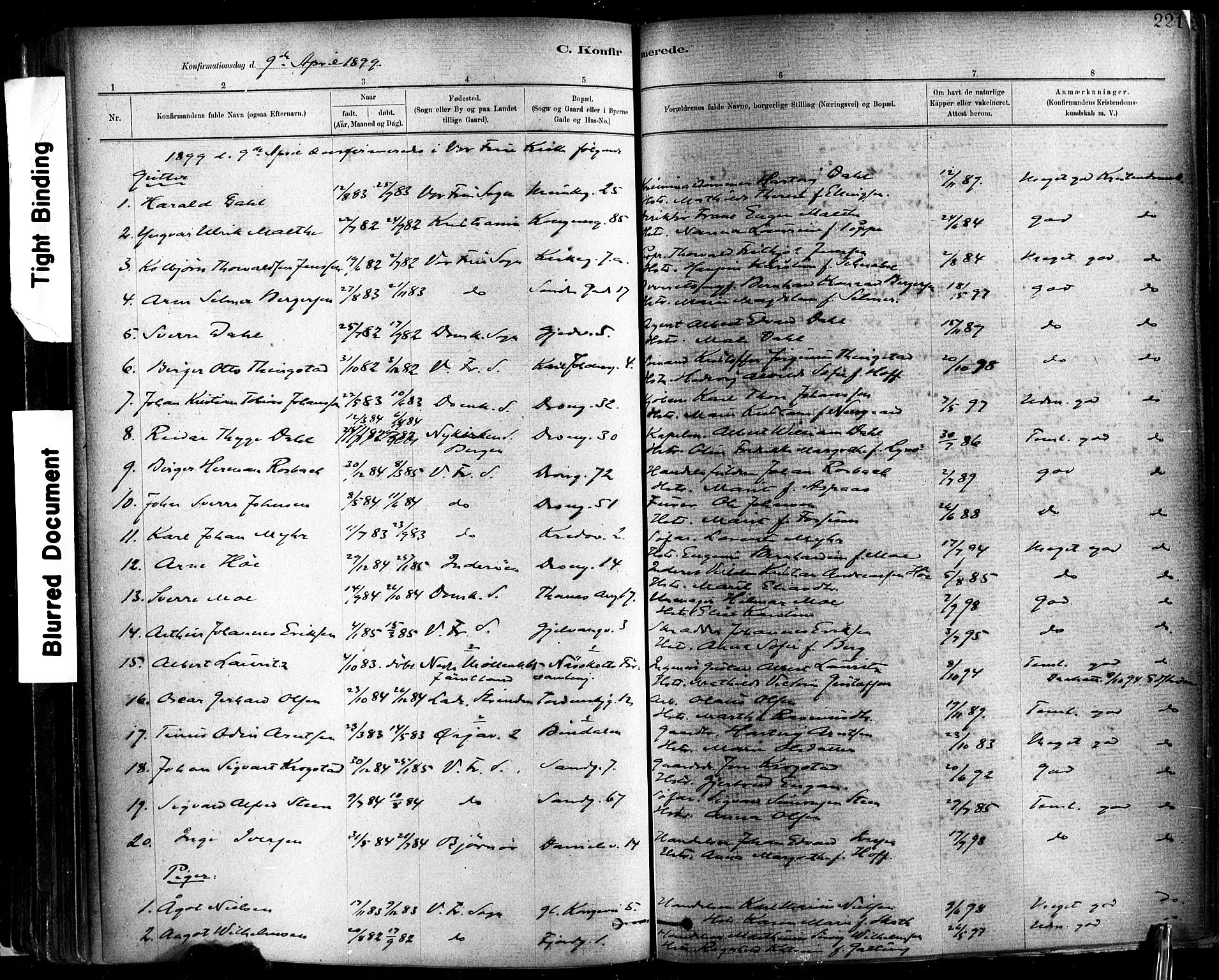 Ministerialprotokoller, klokkerbøker og fødselsregistre - Sør-Trøndelag, SAT/A-1456/602/L0119: Parish register (official) no. 602A17, 1880-1901, p. 221