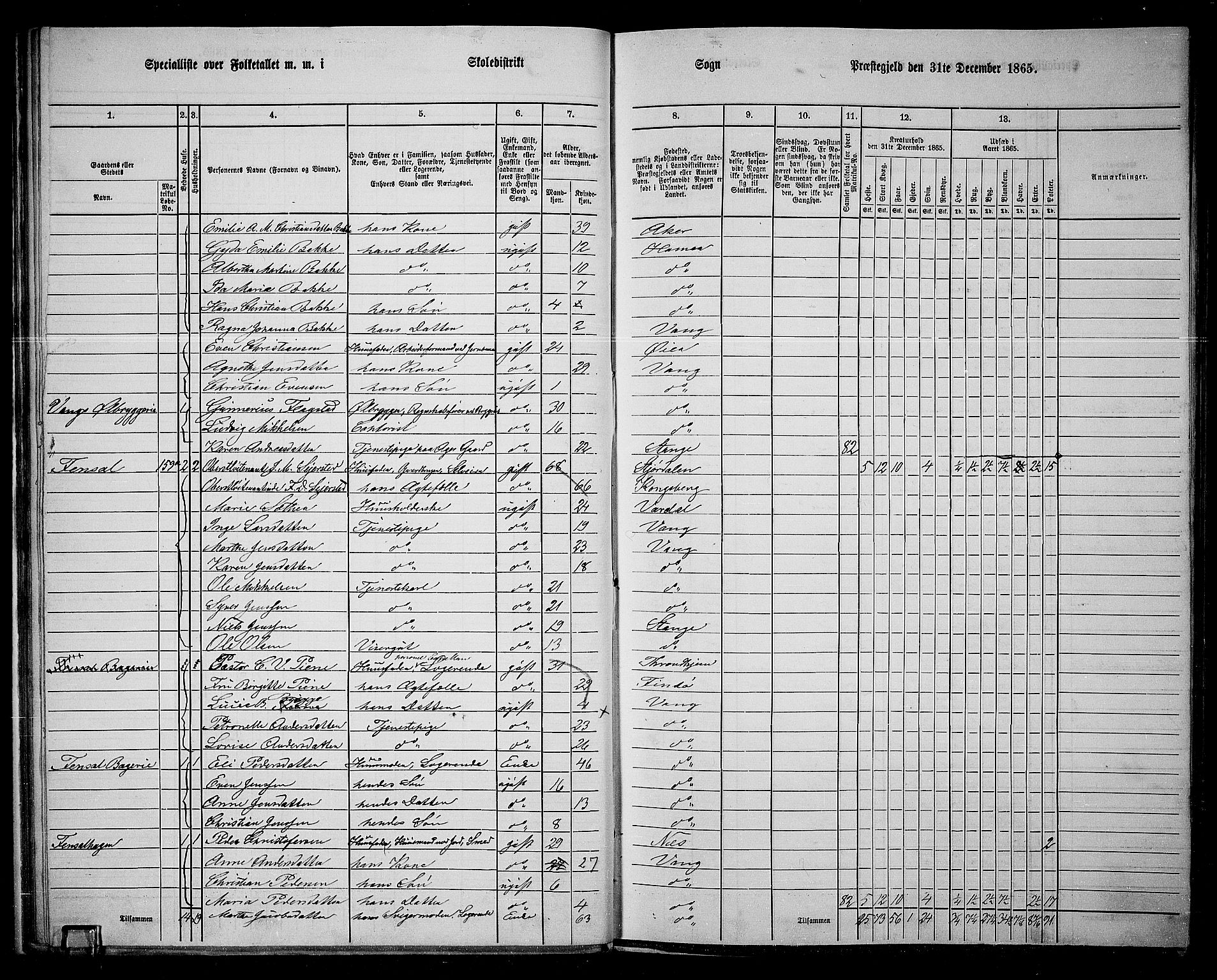 RA, 1865 census for Vang/Vang og Furnes, 1865, p. 180