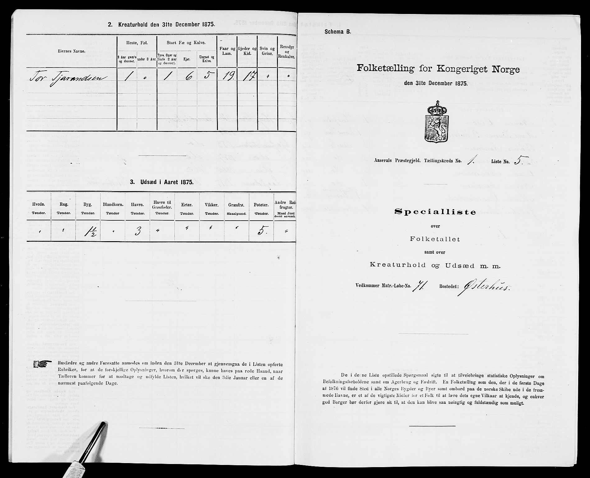 SAK, 1875 census for 0980P Åseral, 1875, p. 38