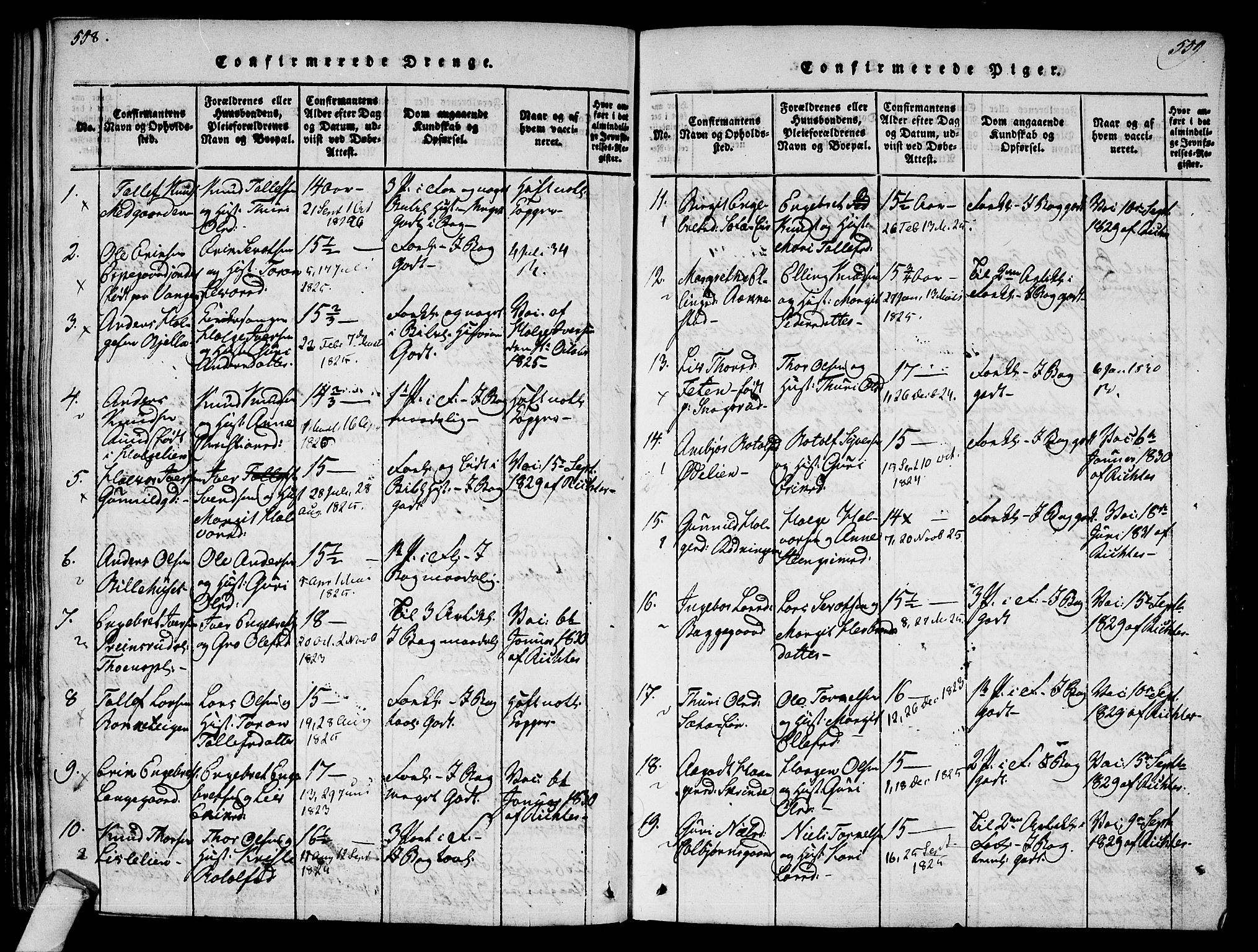 Ål kirkebøker, AV/SAKO-A-249/F/Fa/L0004: Parish register (official) no. I 4, 1815-1825, p. 558-559