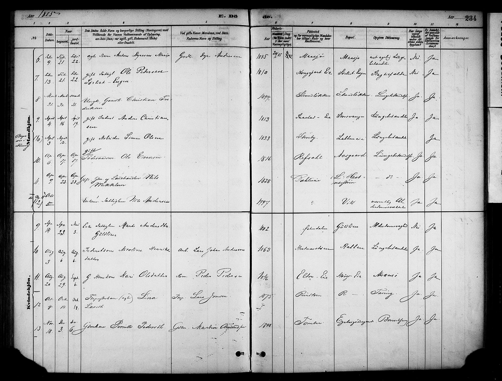 Stange prestekontor, AV/SAH-PREST-002/K/L0018: Parish register (official) no. 18, 1880-1896, p. 234