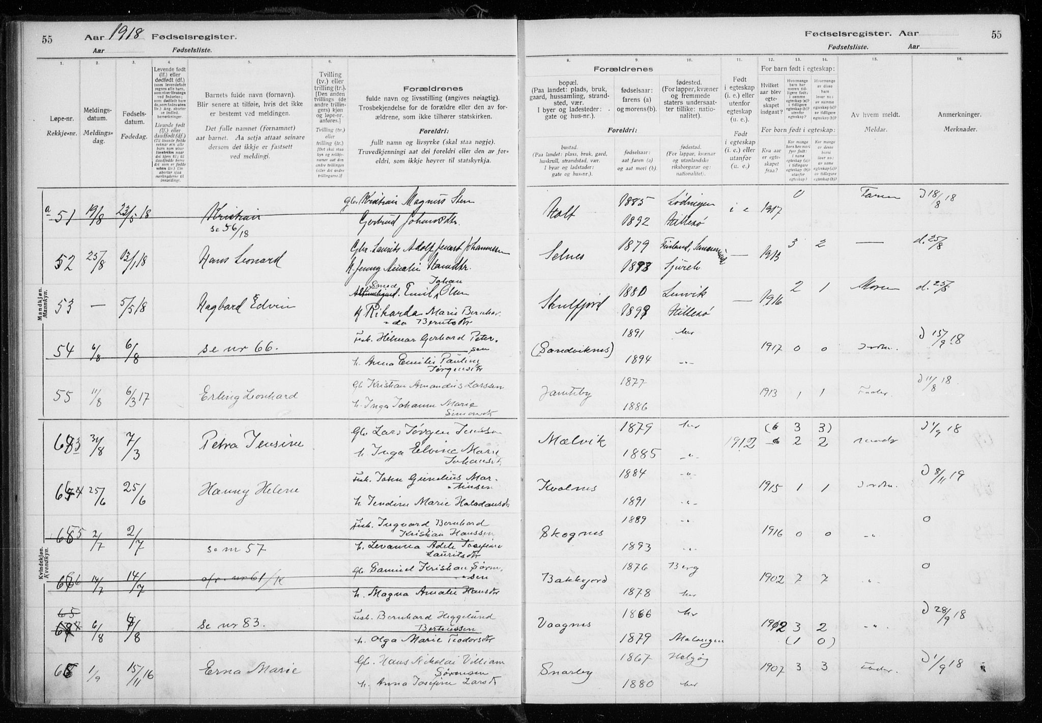 Tromsøysund sokneprestkontor, SATØ/S-1304/H/Ha/L0079: Birth register no. 79, 1916-1924, p. 55