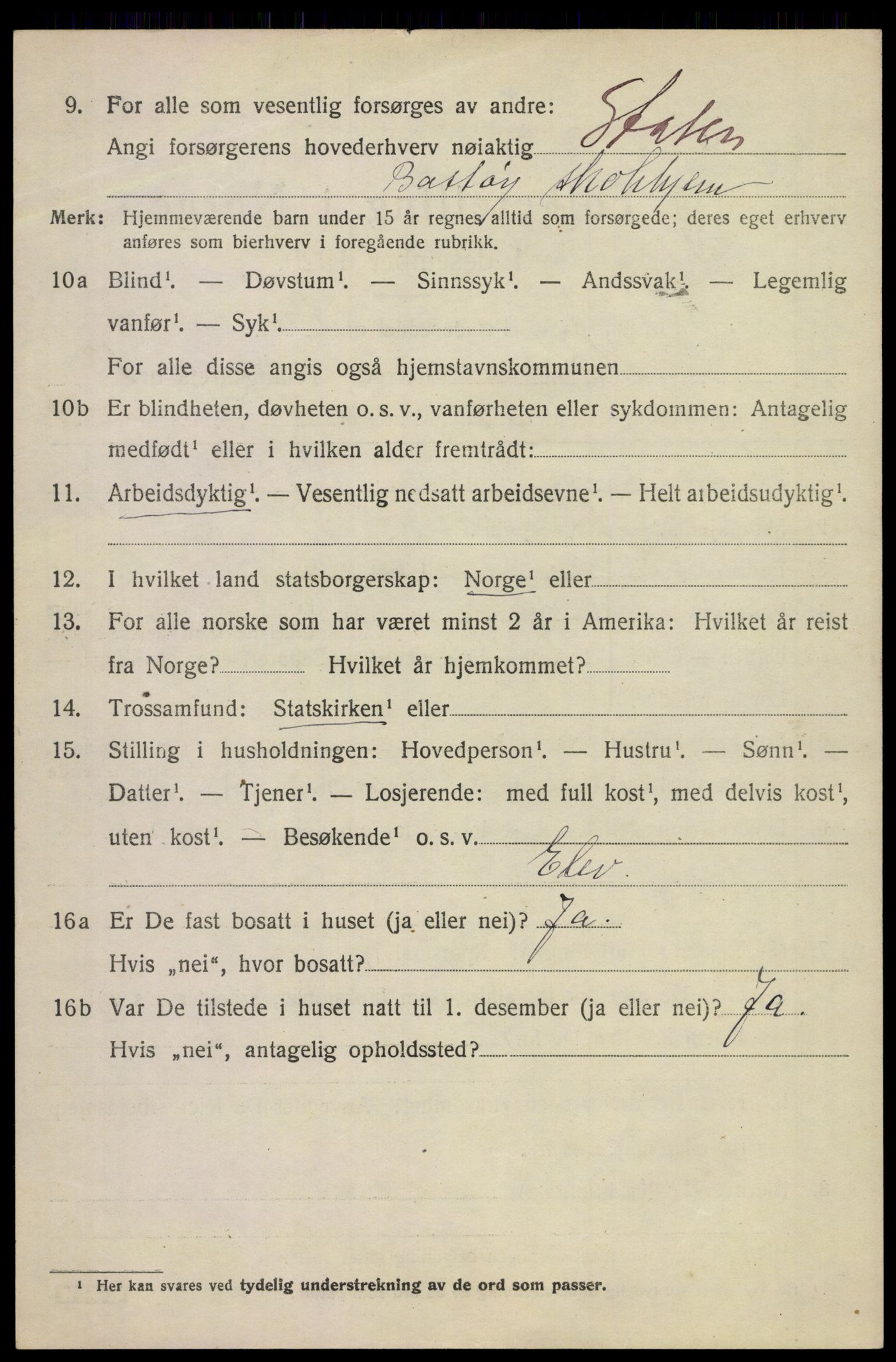 SAKO, 1920 census for Borre, 1920, p. 2617