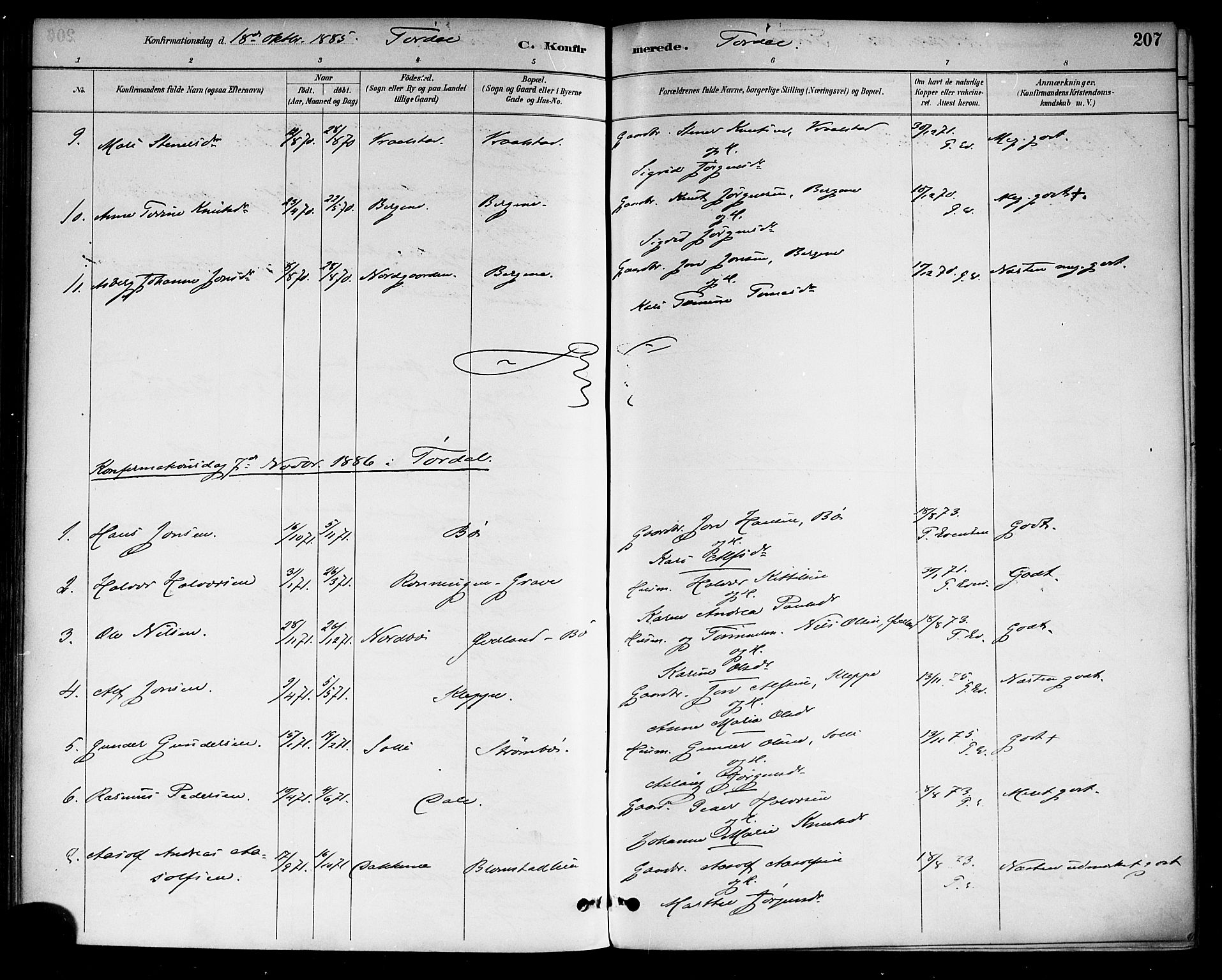 Drangedal kirkebøker, SAKO/A-258/F/Fa/L0010: Parish register (official) no. 10 /2, 1885-1894, p. 207